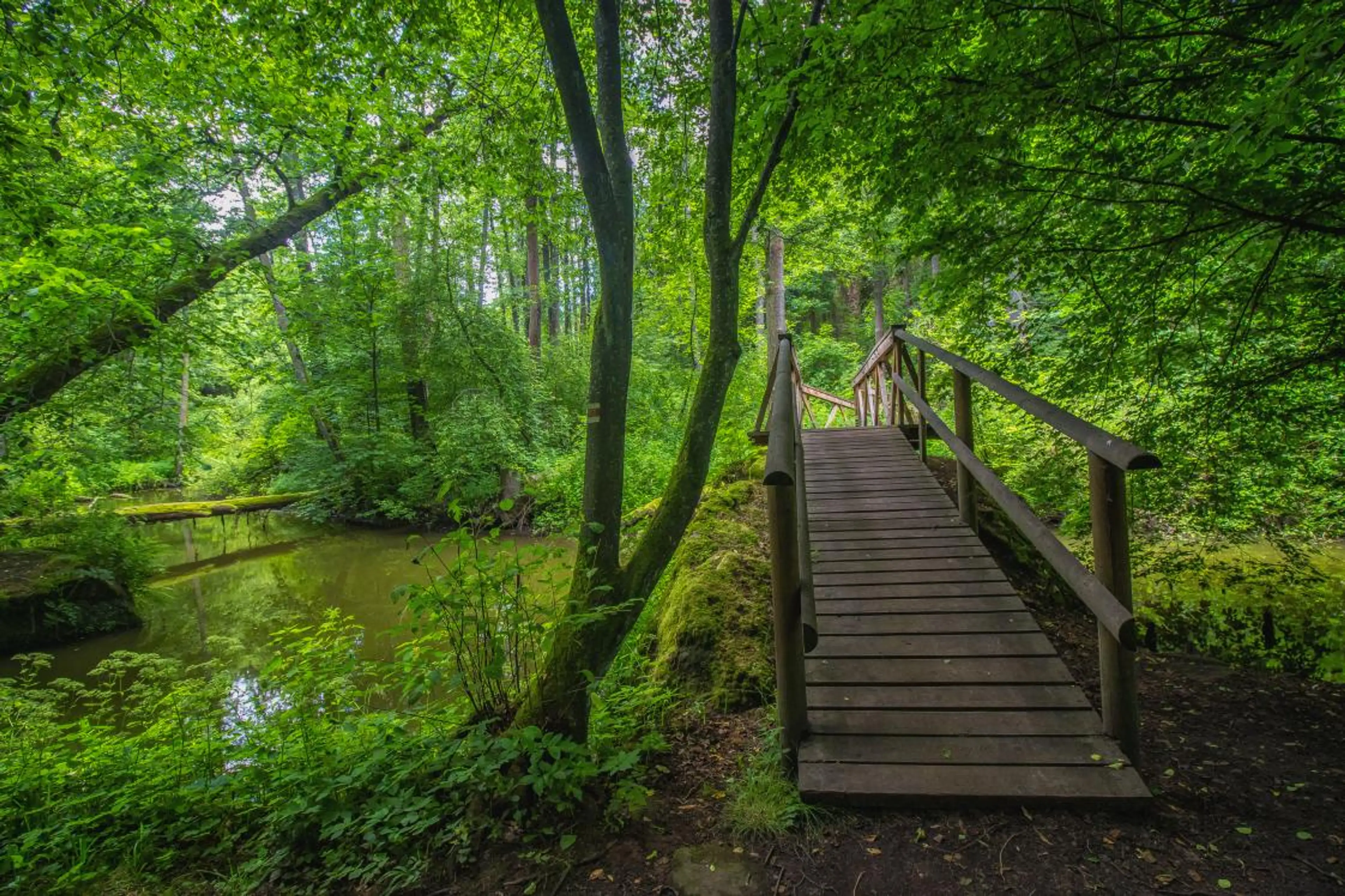 První dvě chatky - Máchovo jezero carousel-image-17