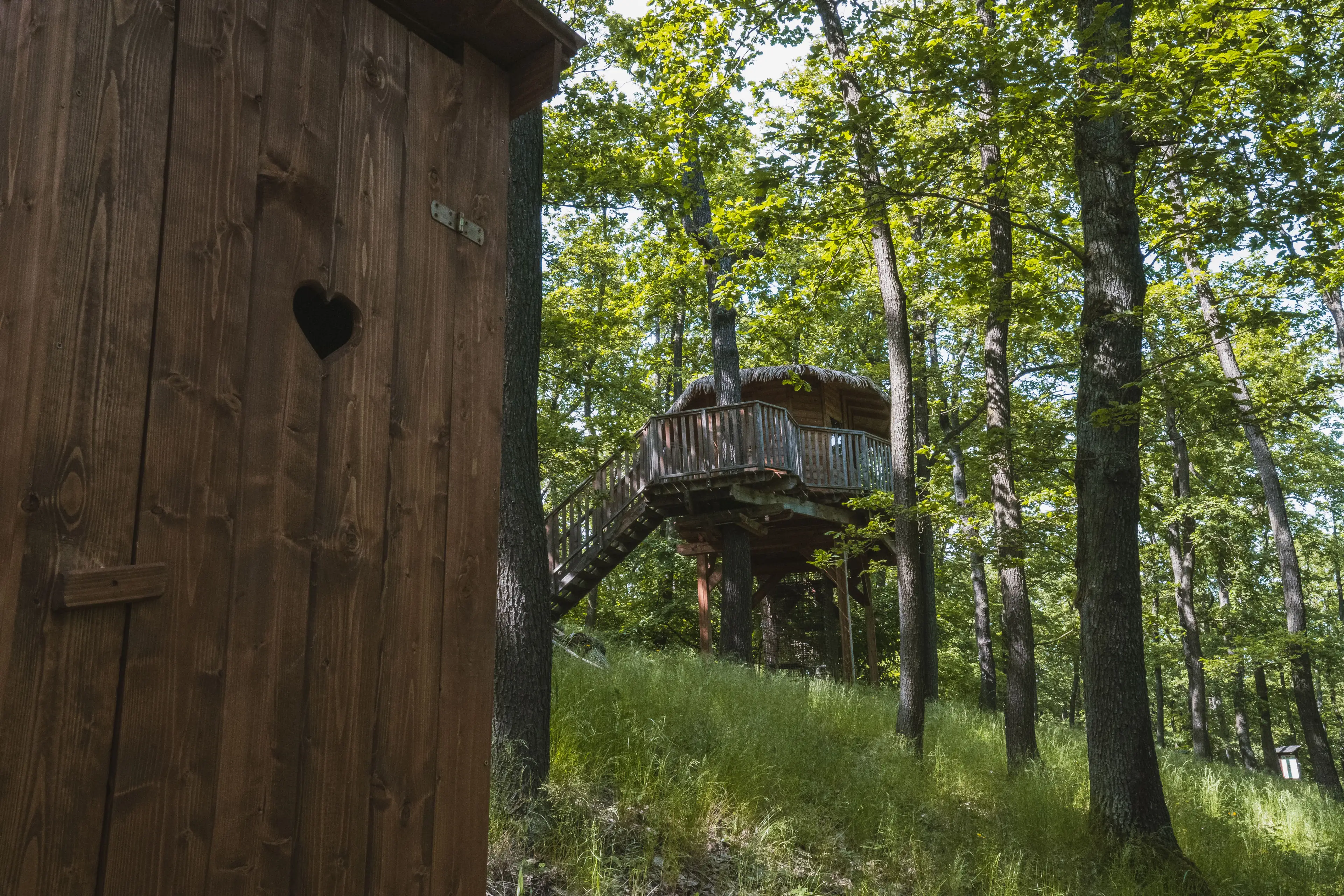 Tree House carousel-image-16