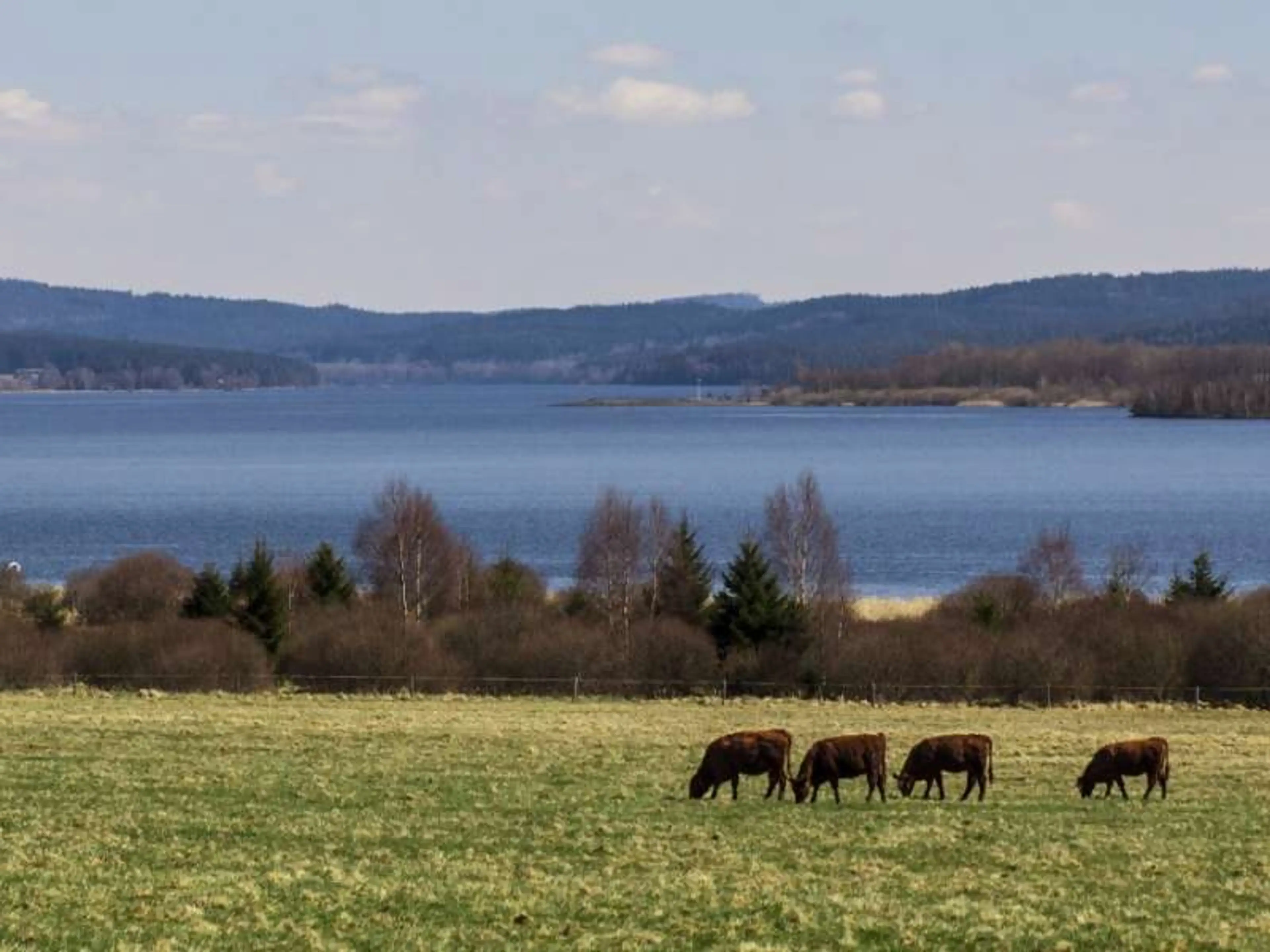 Marina Lipno Resort carousel-image-4