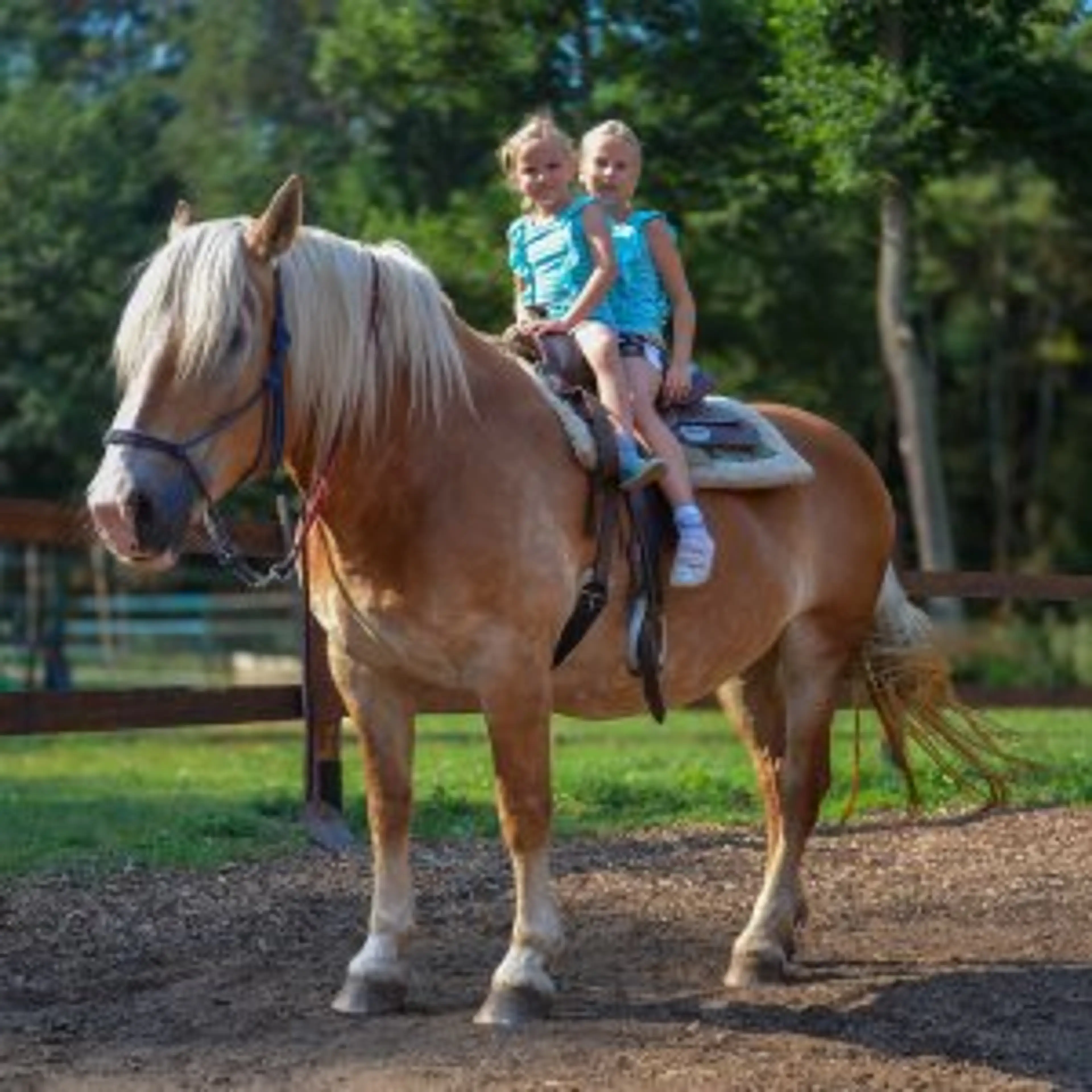 Šikland carousel-image-15