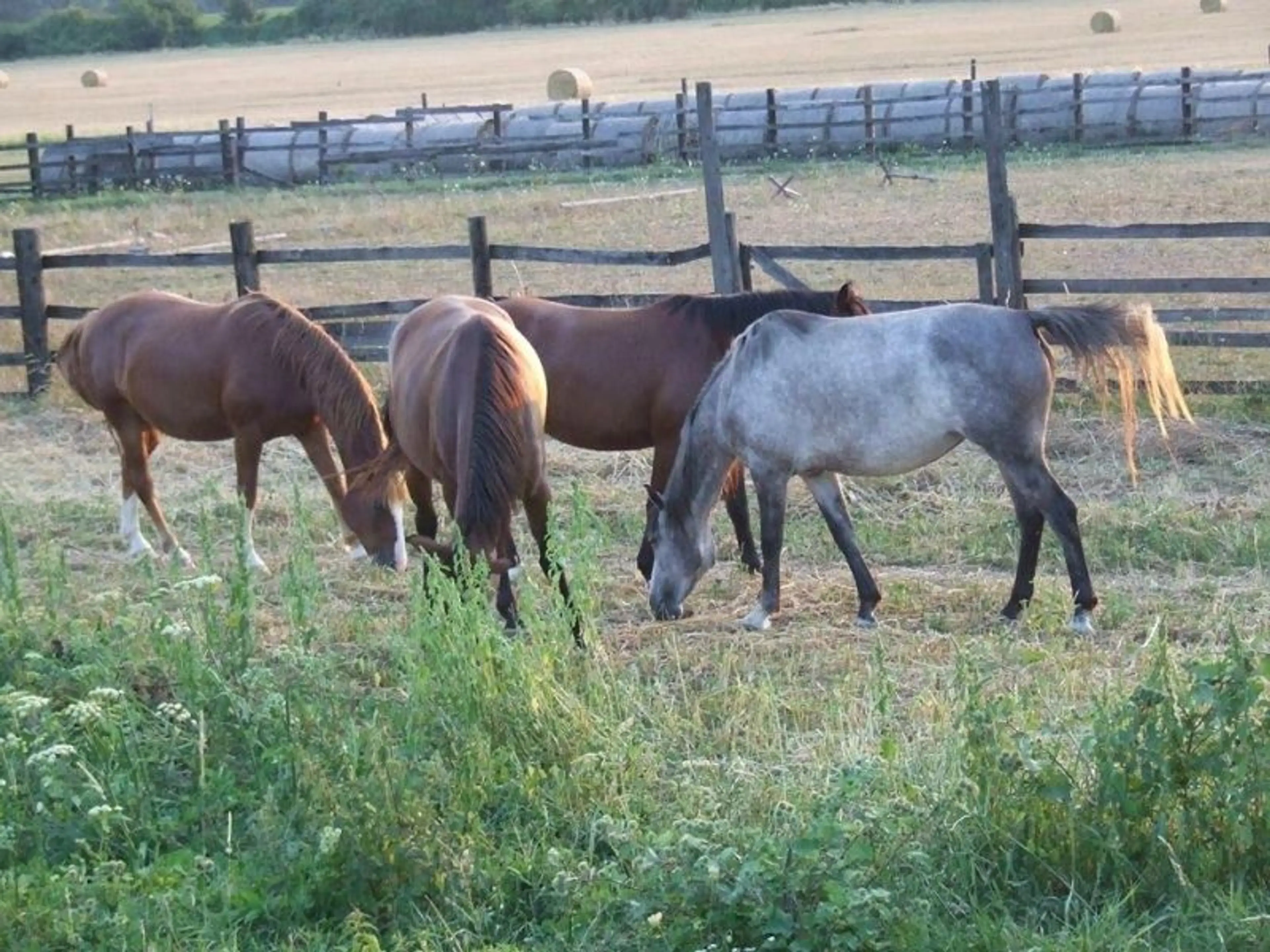 Camping Hôrka carousel-image-10