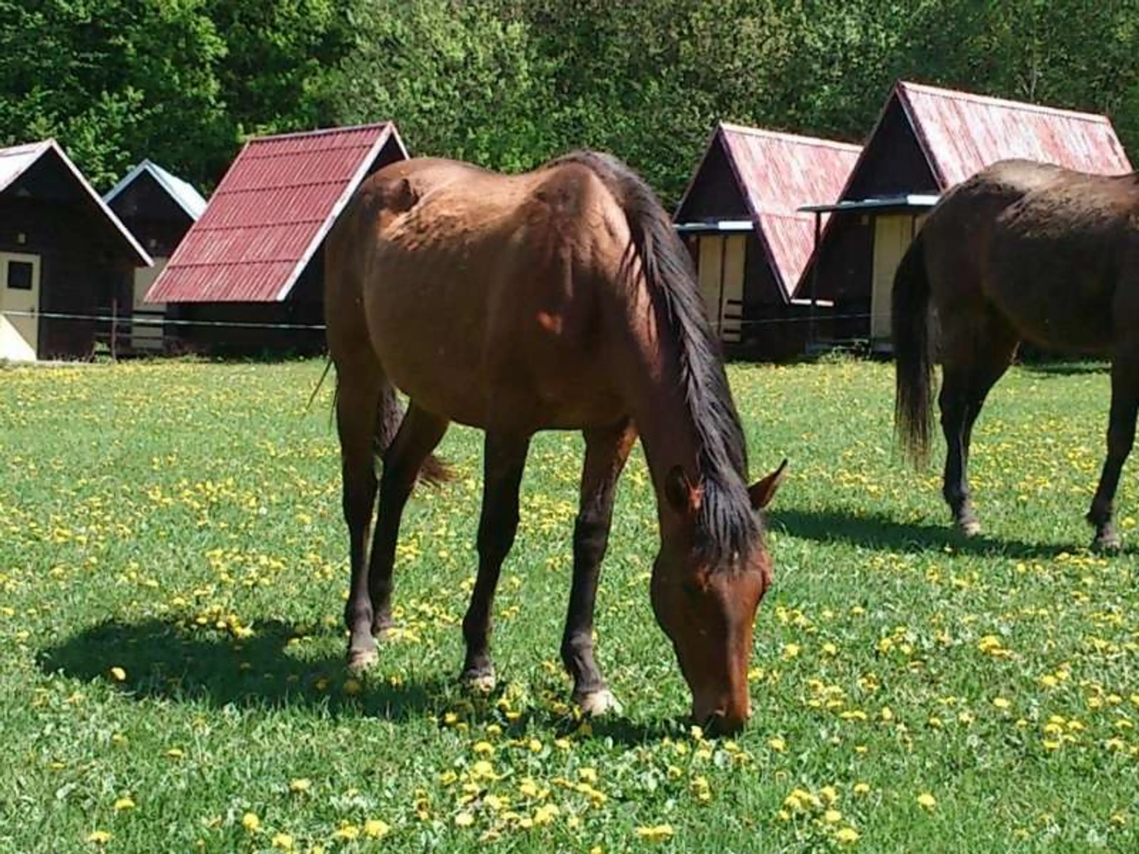 Rekreační středisko DOPRAVÁK carousel-image-7