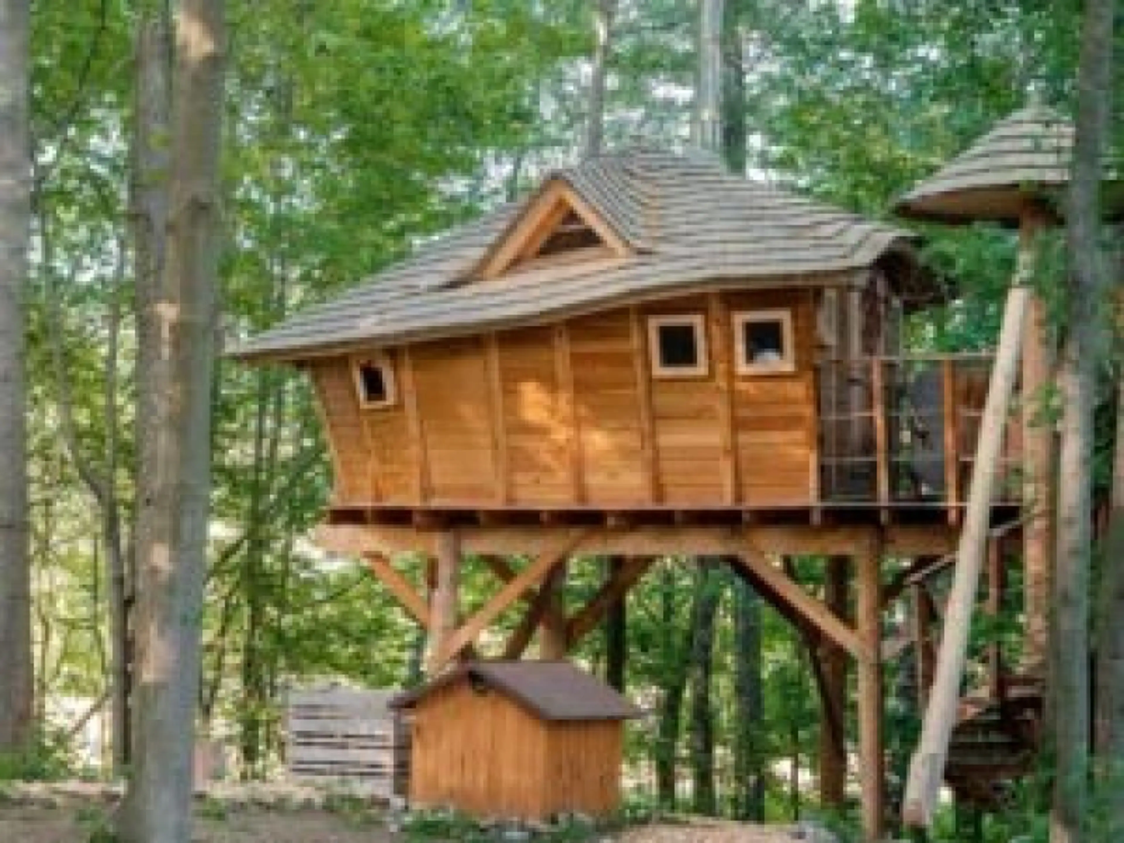 Tree houses Sněžník s wellness carousel-image-13