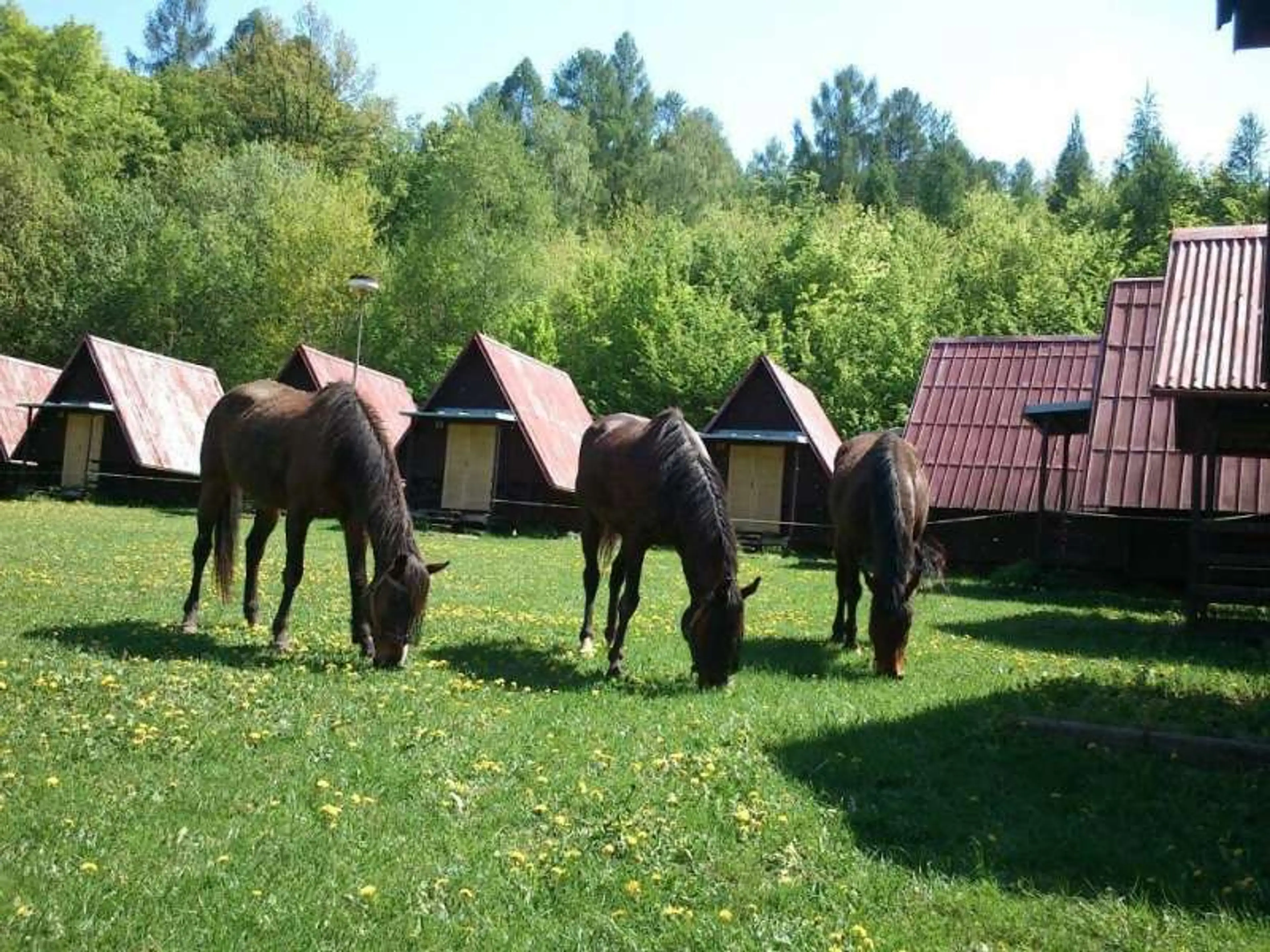 Rekreační středisko DOPRAVÁK carousel-image-3