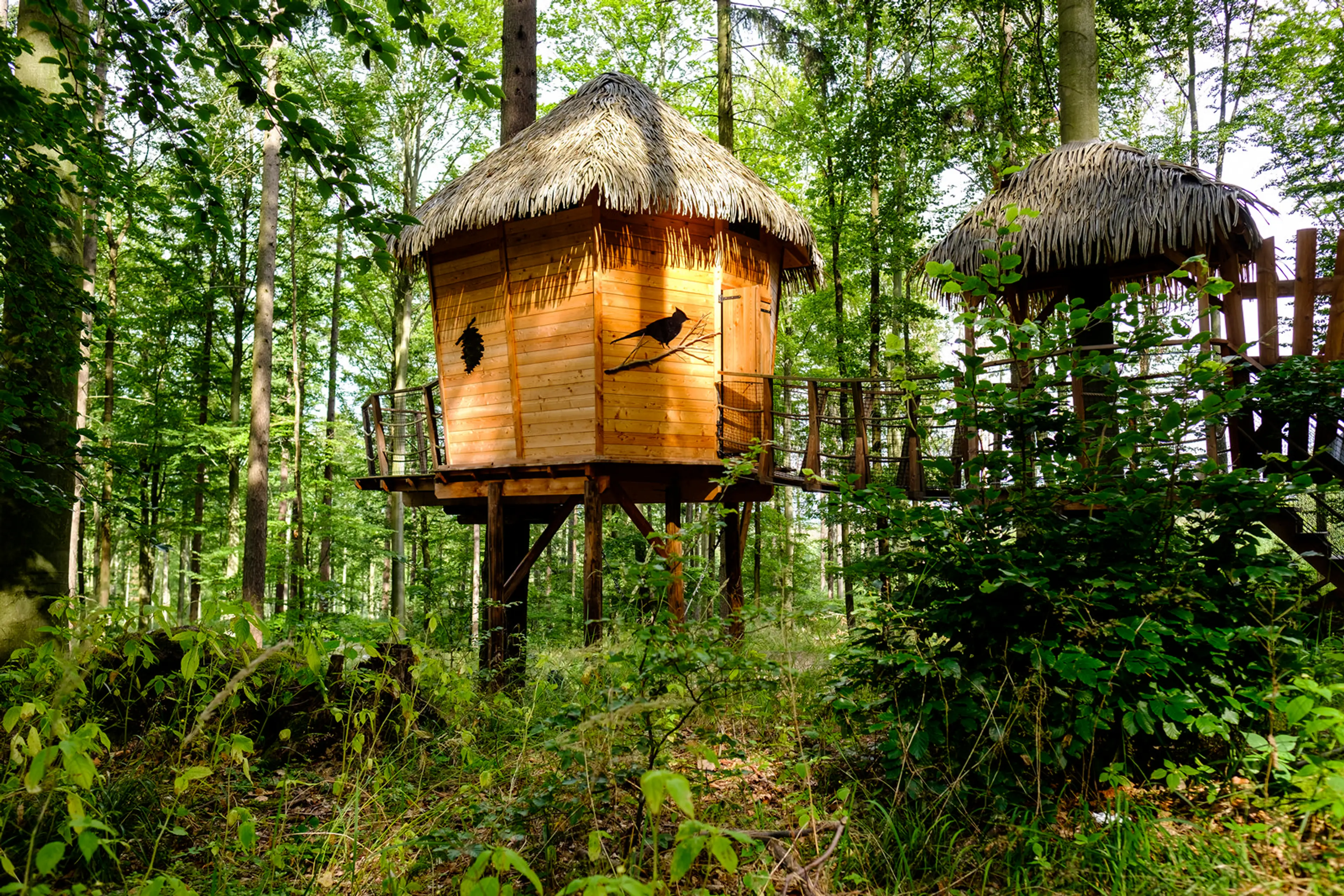 Tree House carousel-image-7