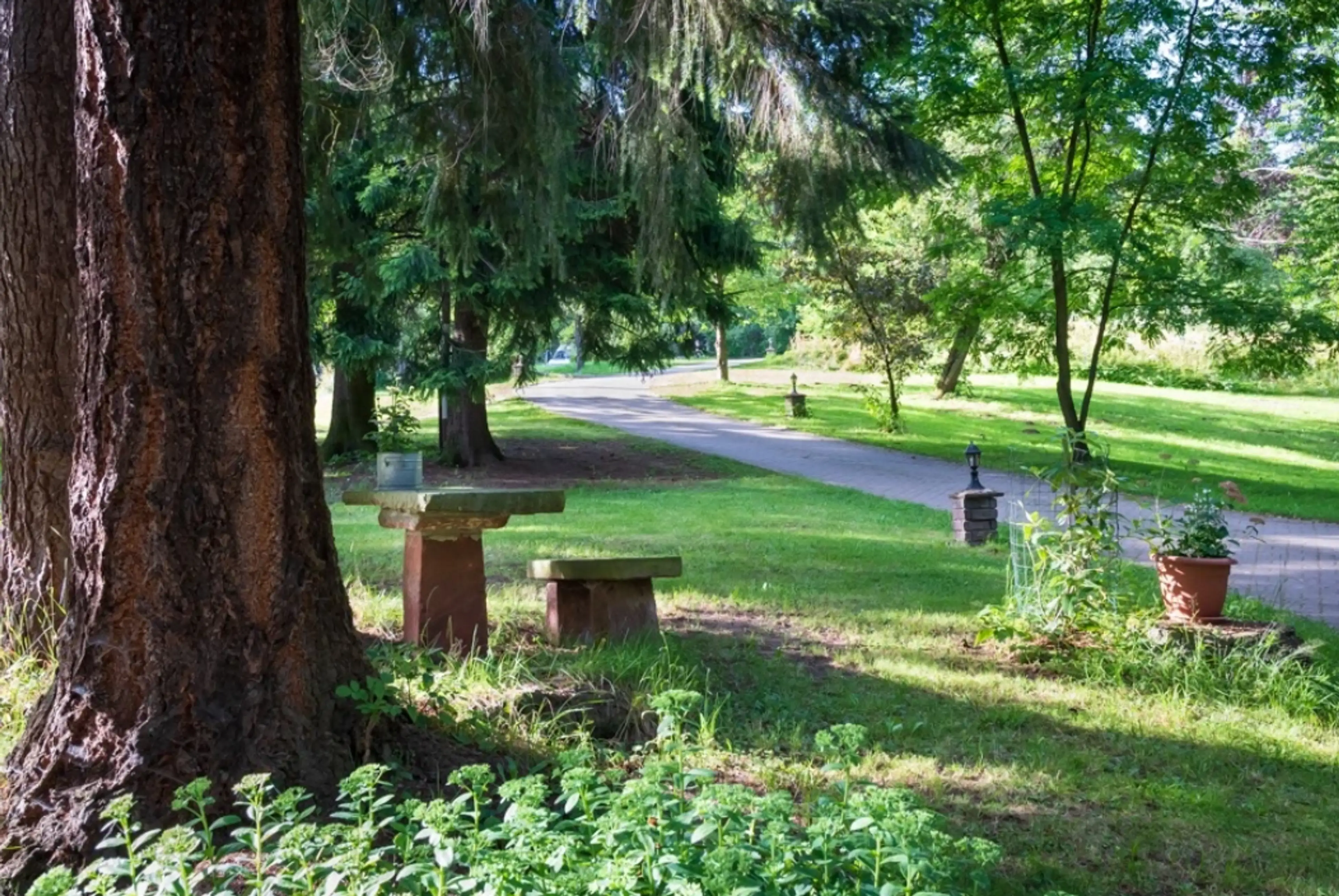 Campsite Lesny Dwor-Waldgut carousel-image-4