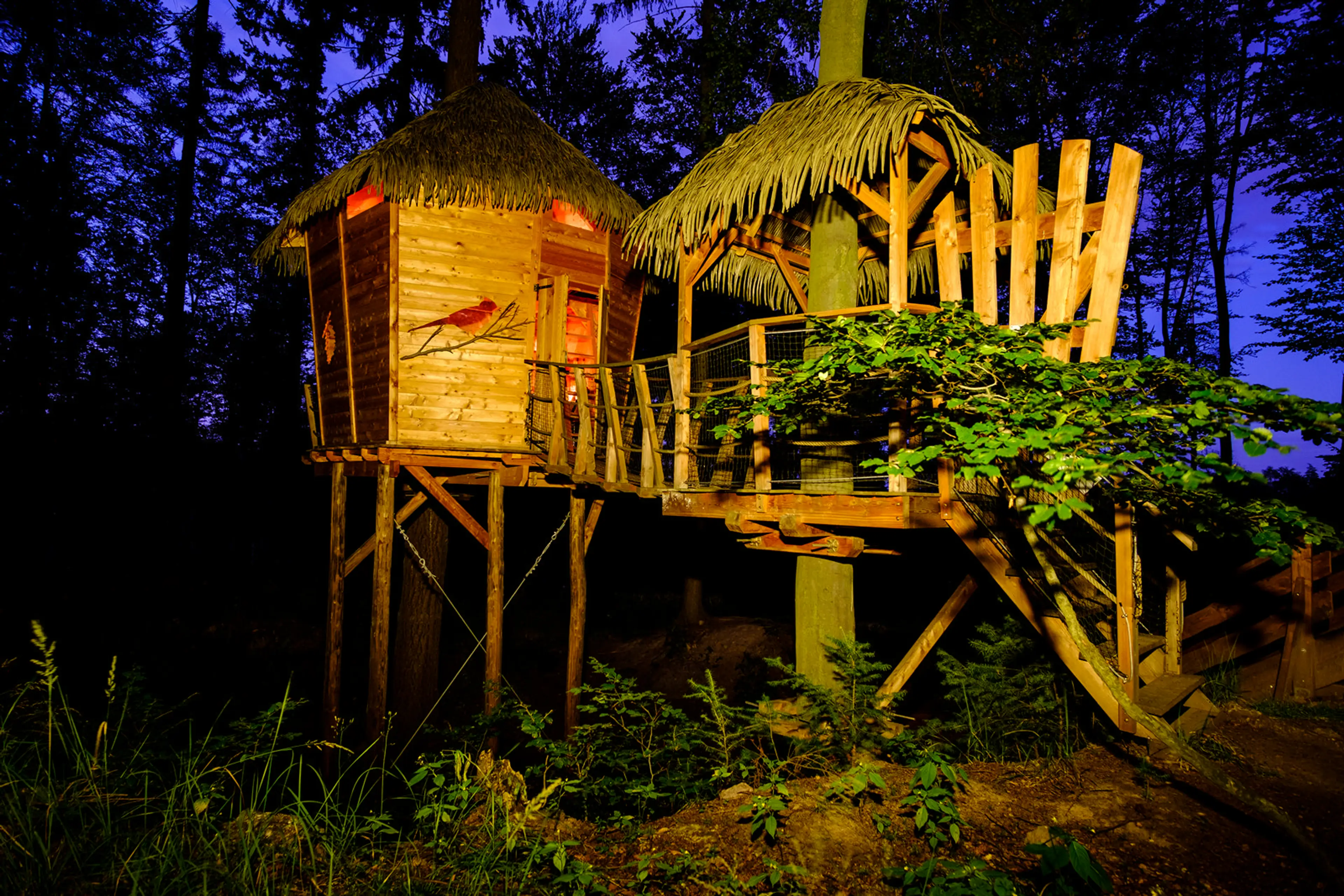 Tree House carousel-image-5