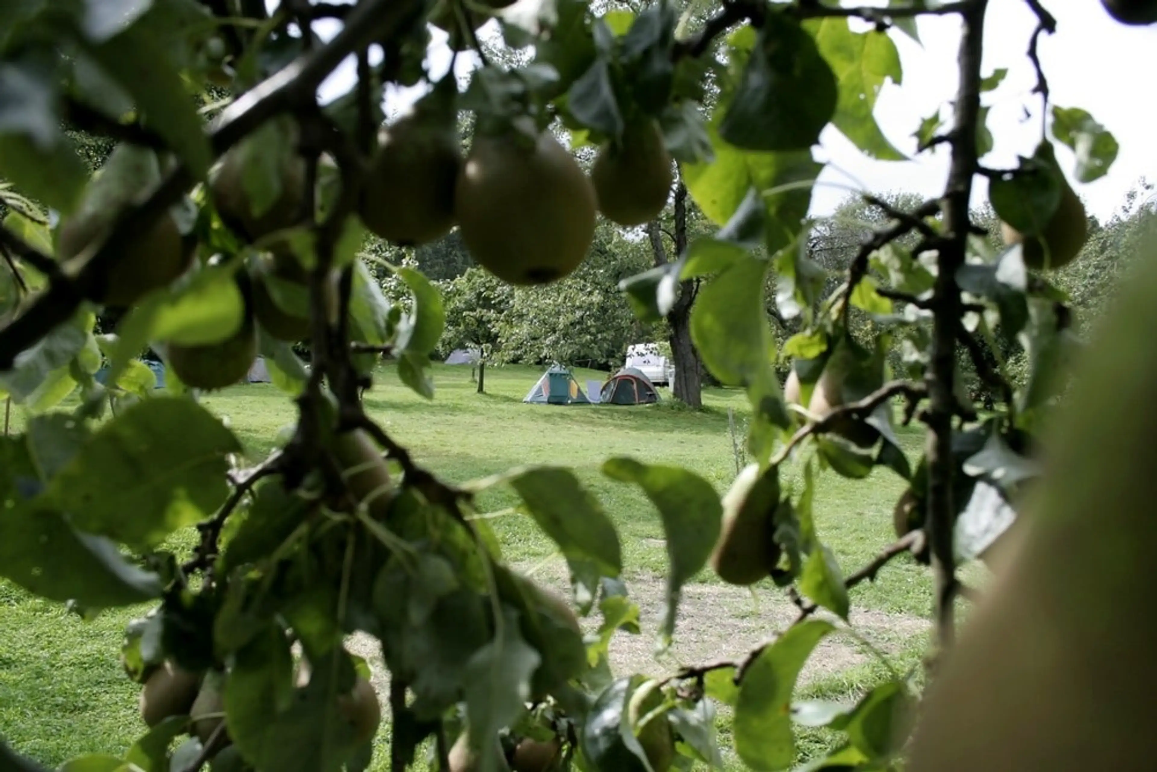 Camp Javořice carousel-image-1