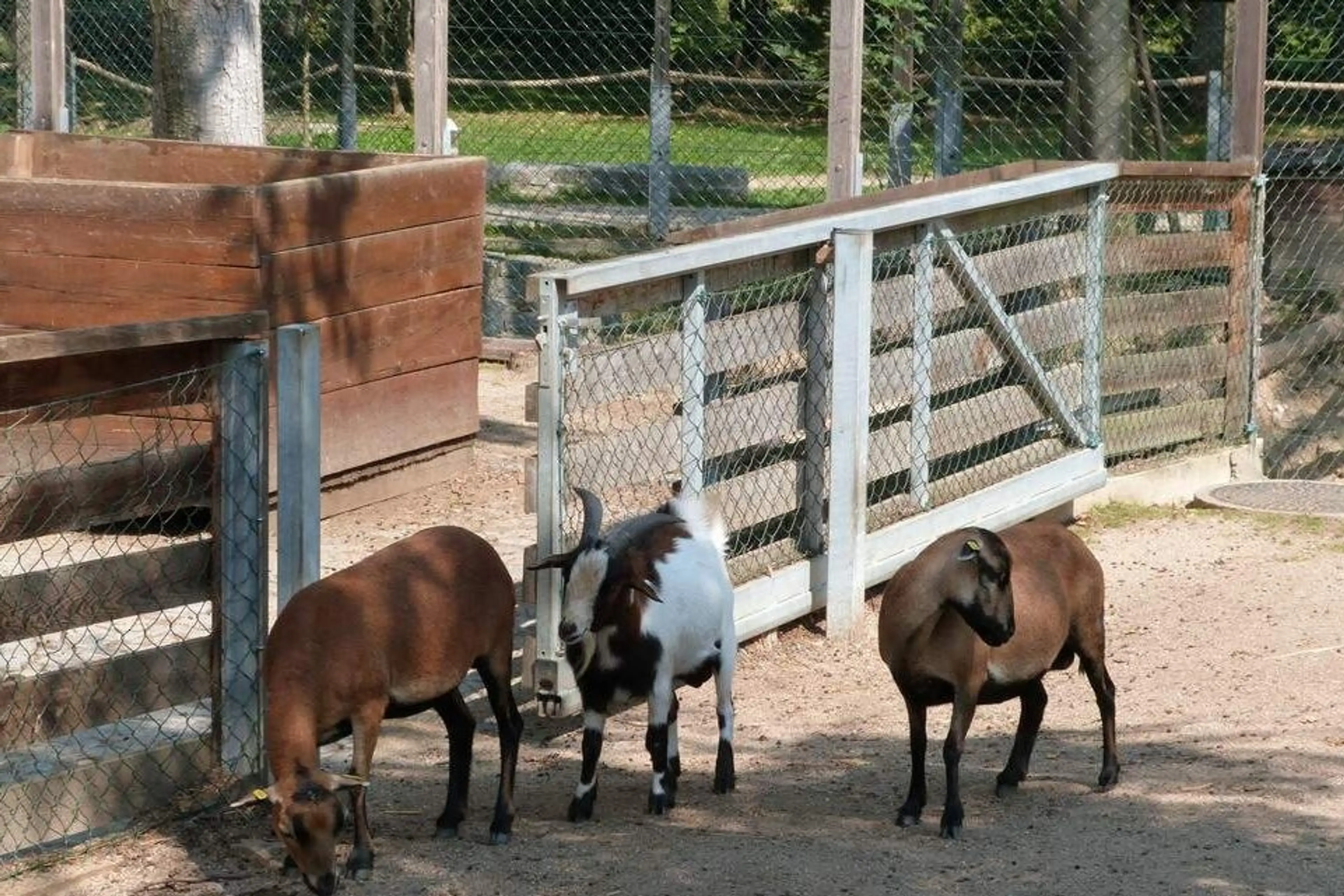 Camping Amerika carousel-image-33