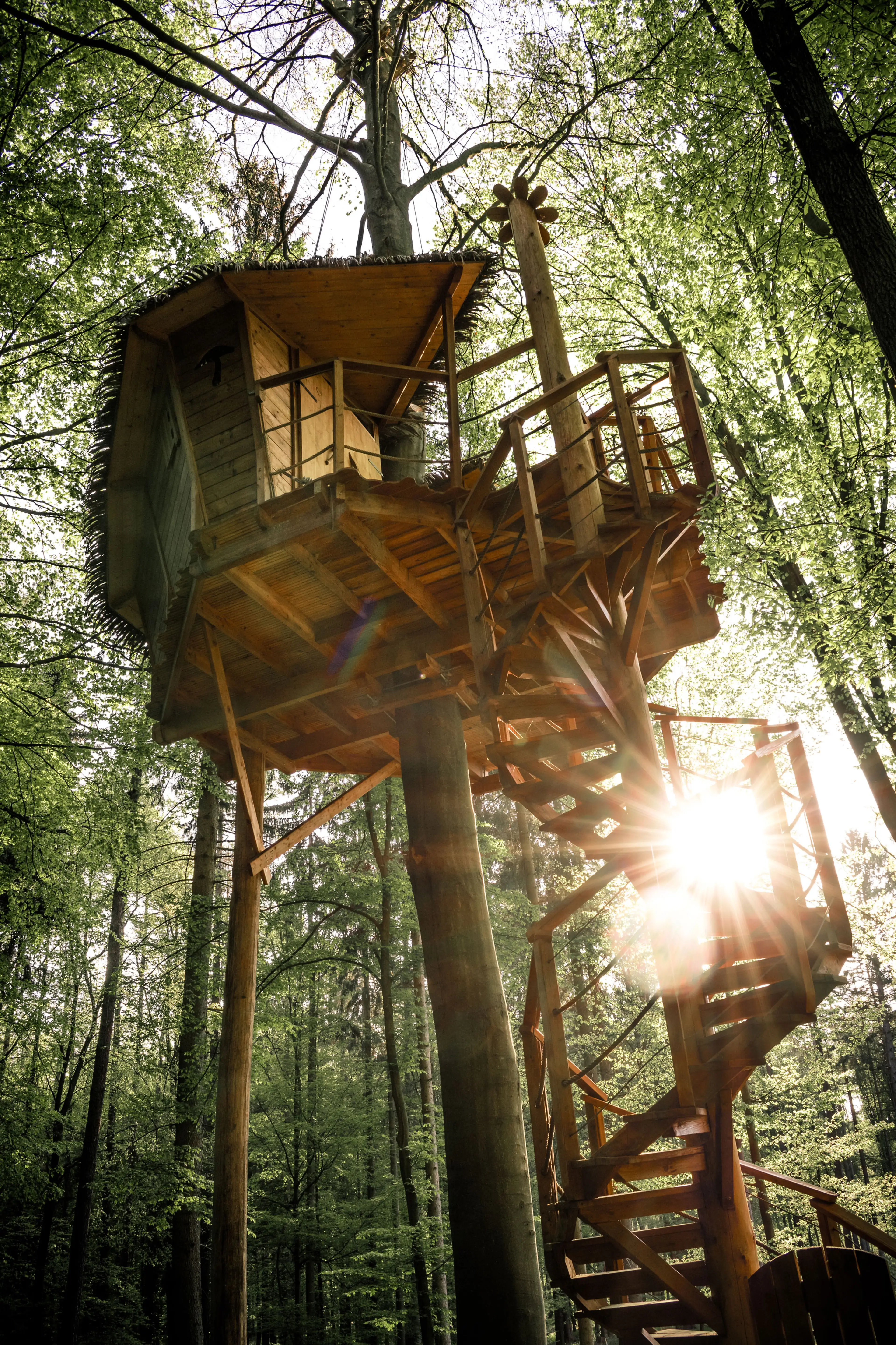 Tree House carousel-image-8