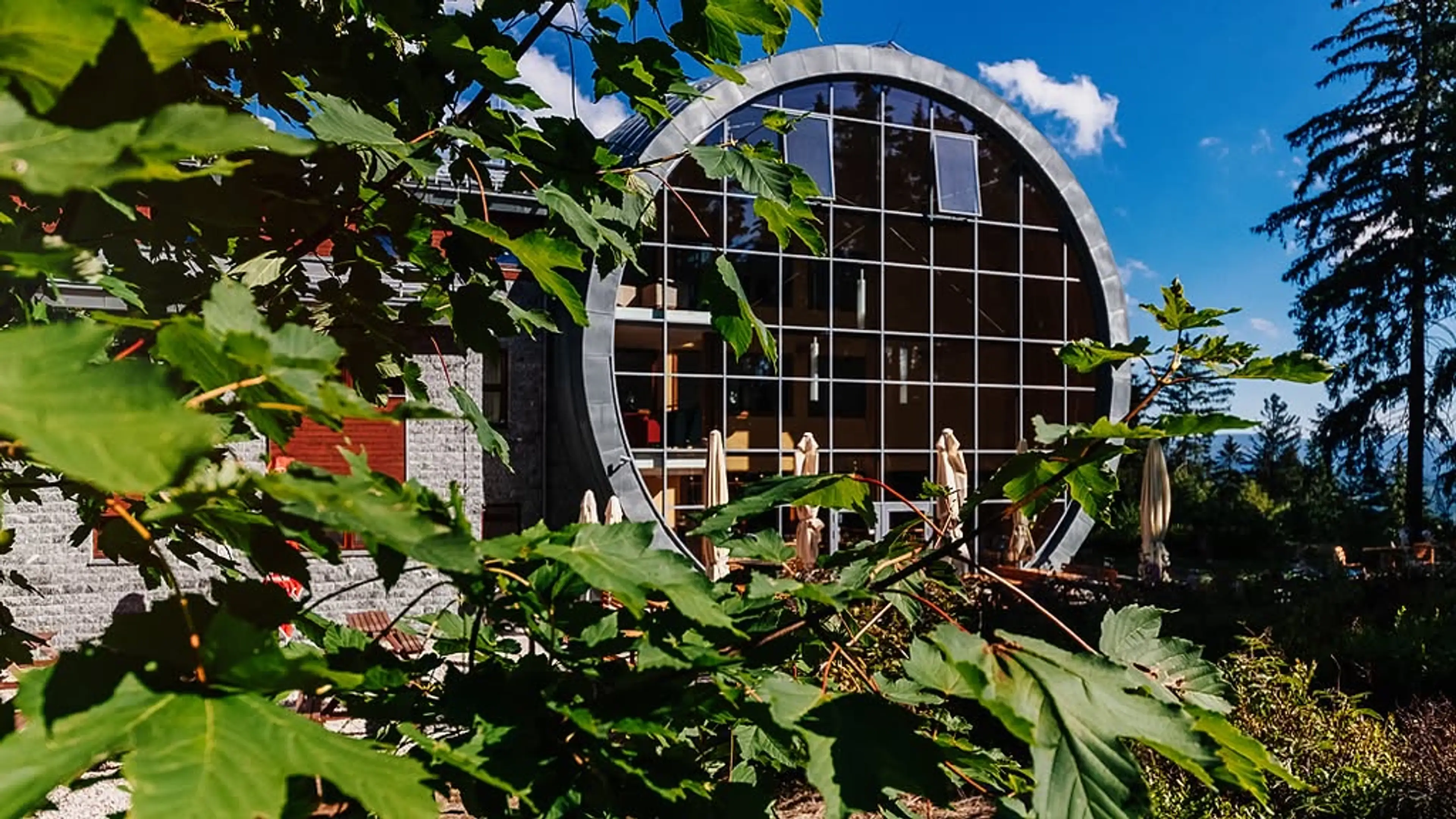 Areál Adventure Park Liberec carousel-image-3