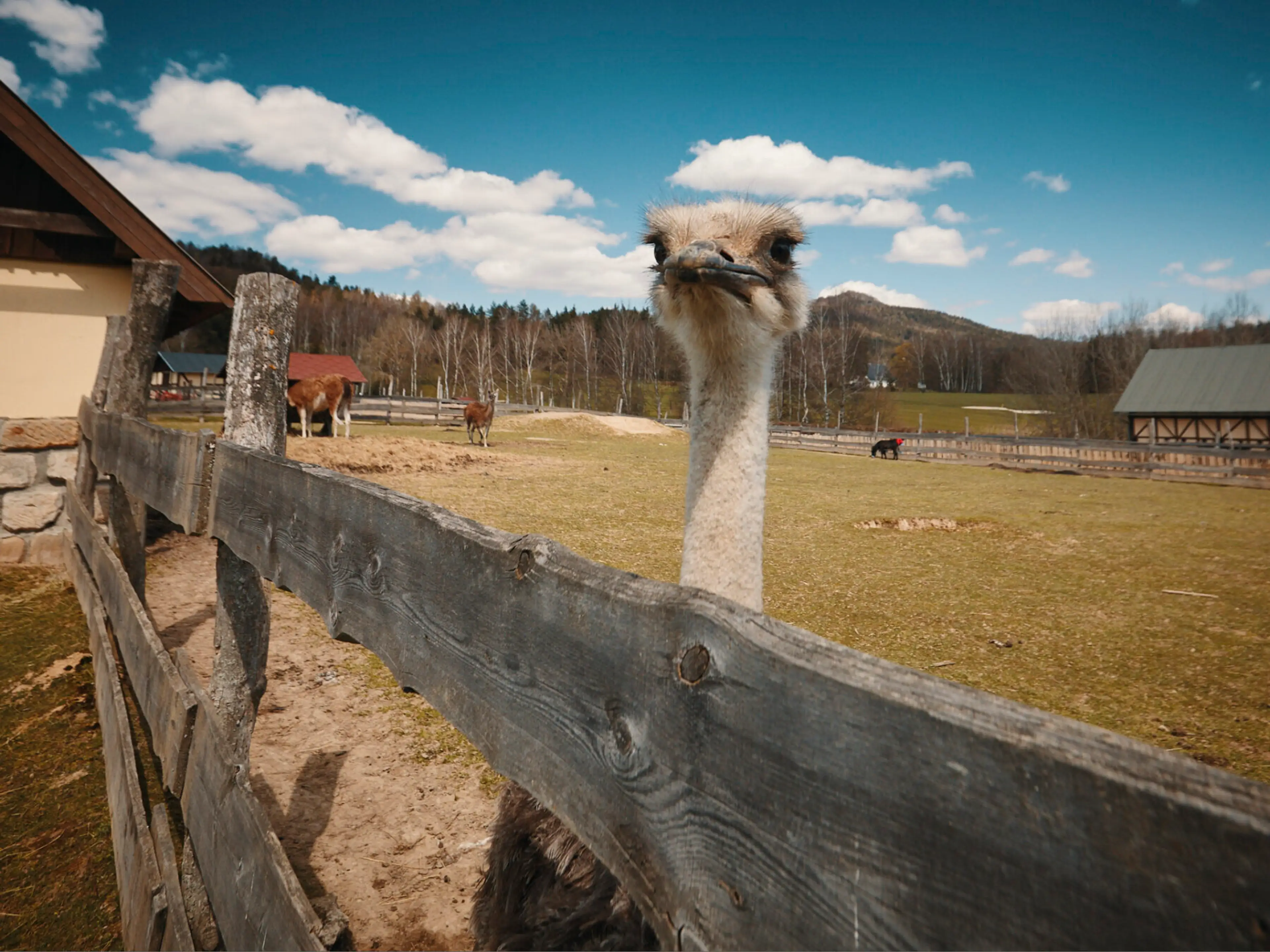 Resort Malevil carousel-image-35