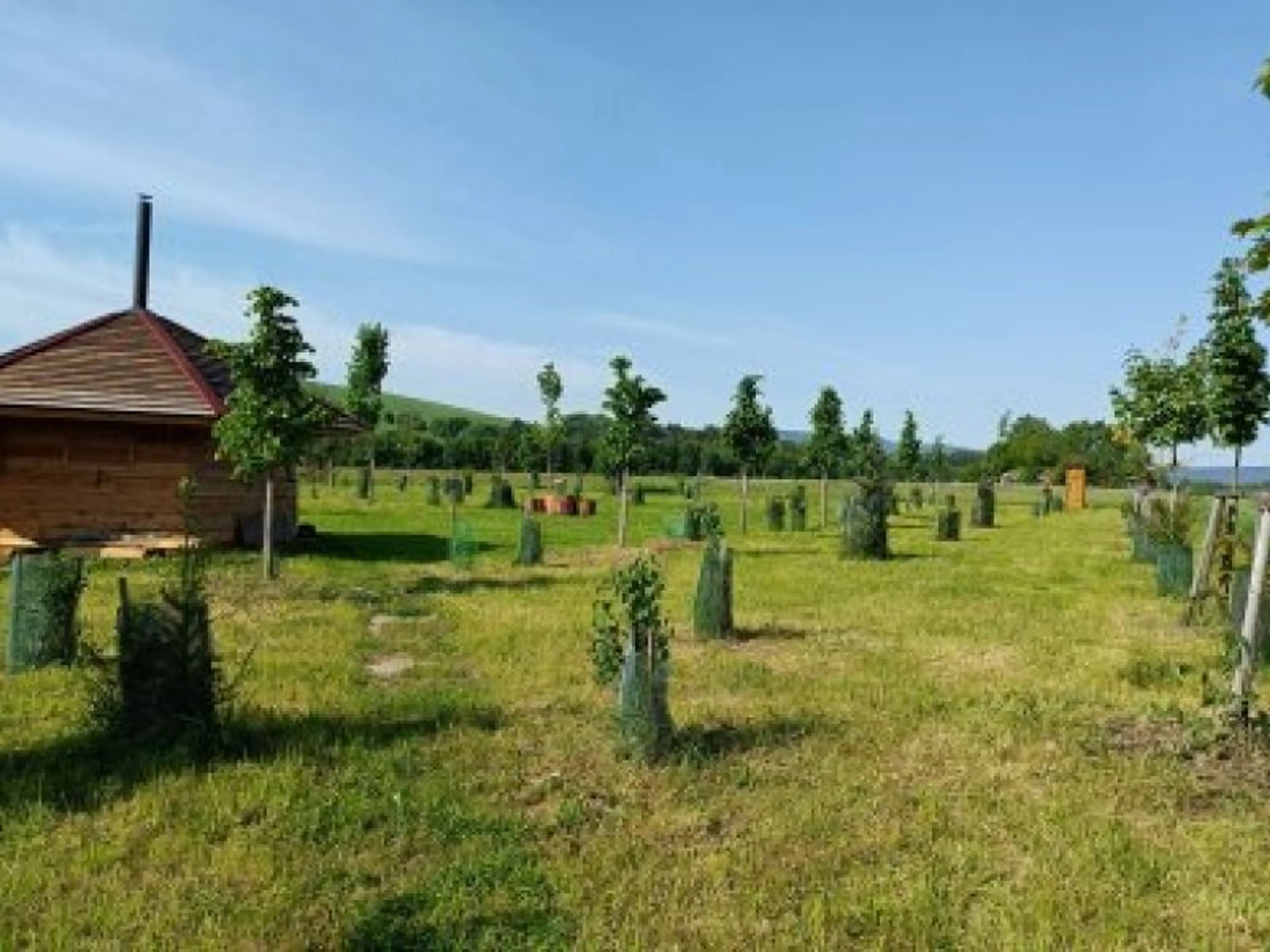 Tree houses Sněžník s wellness carousel-image-15