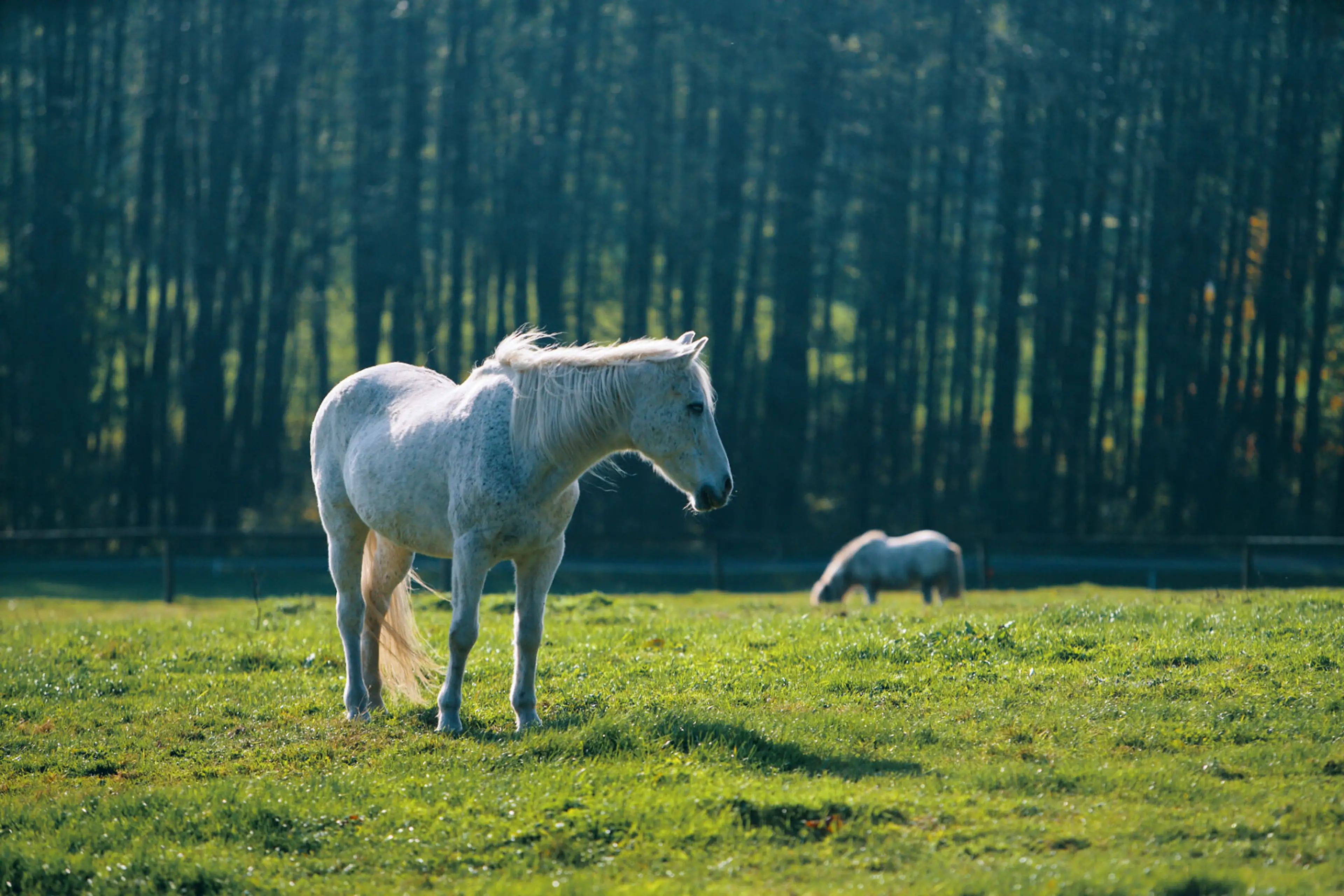 Resort Malevil carousel-image-36