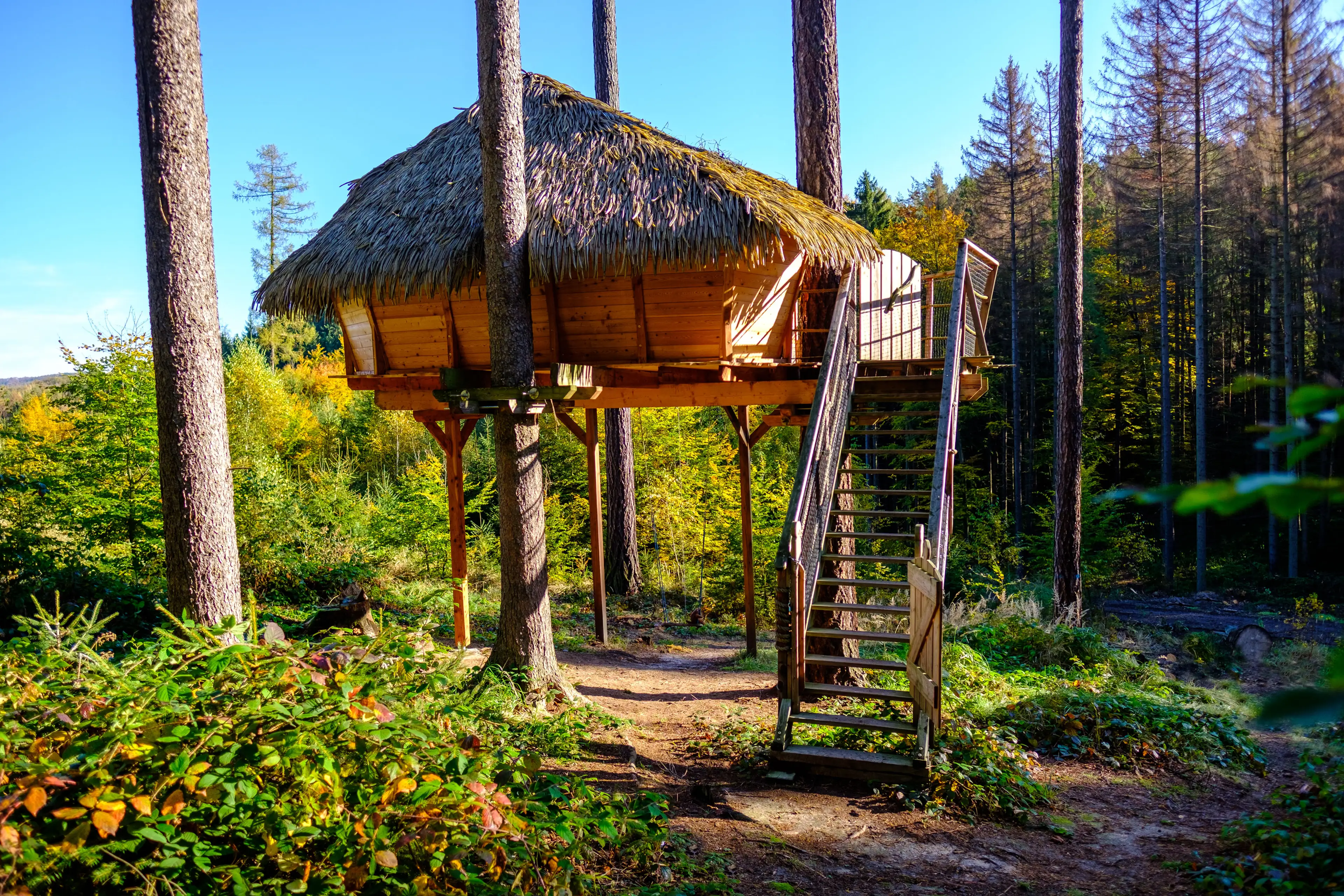 Tree House carousel-image-14