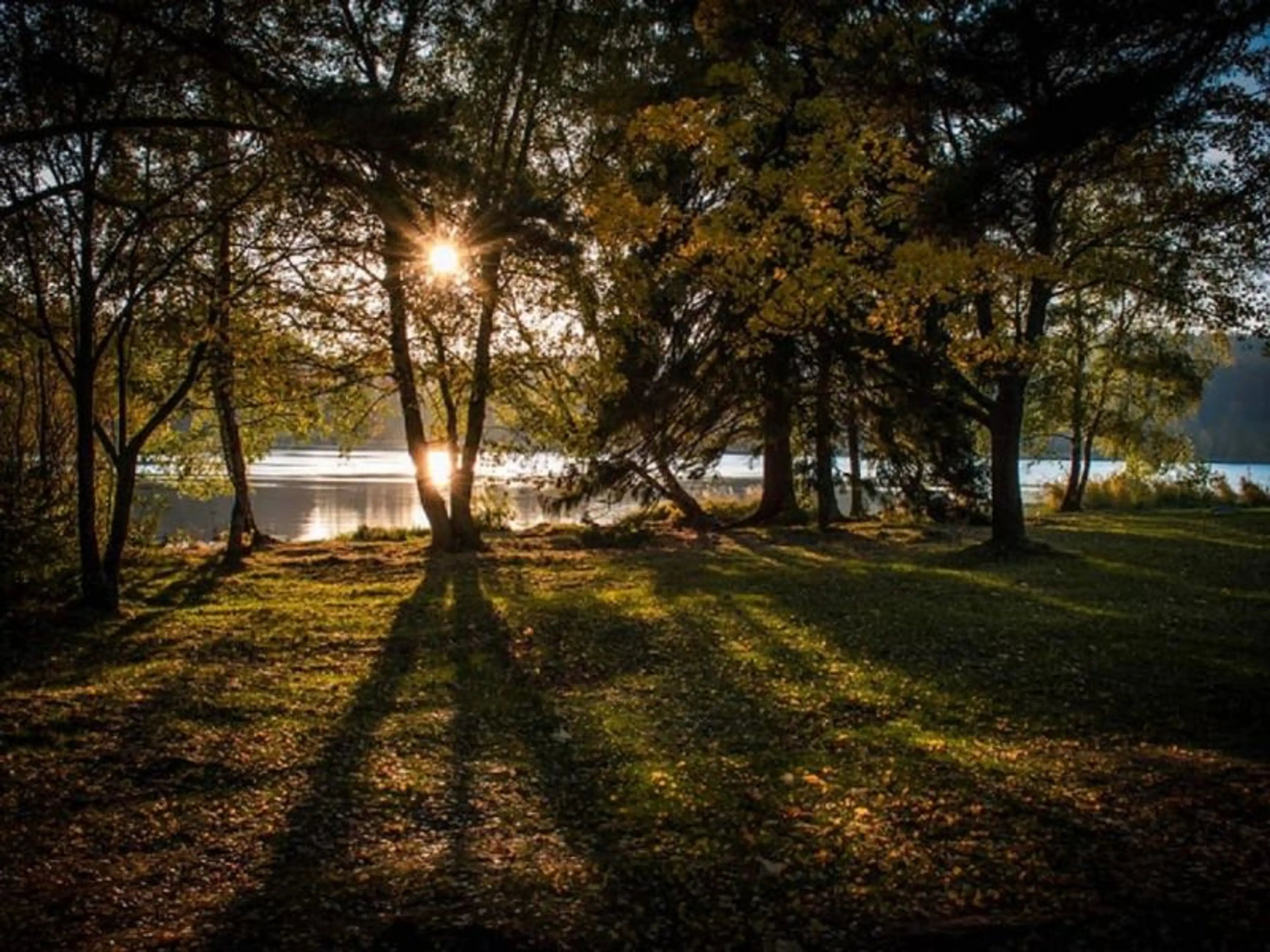 Camp Velkopařezitý carousel-image-7