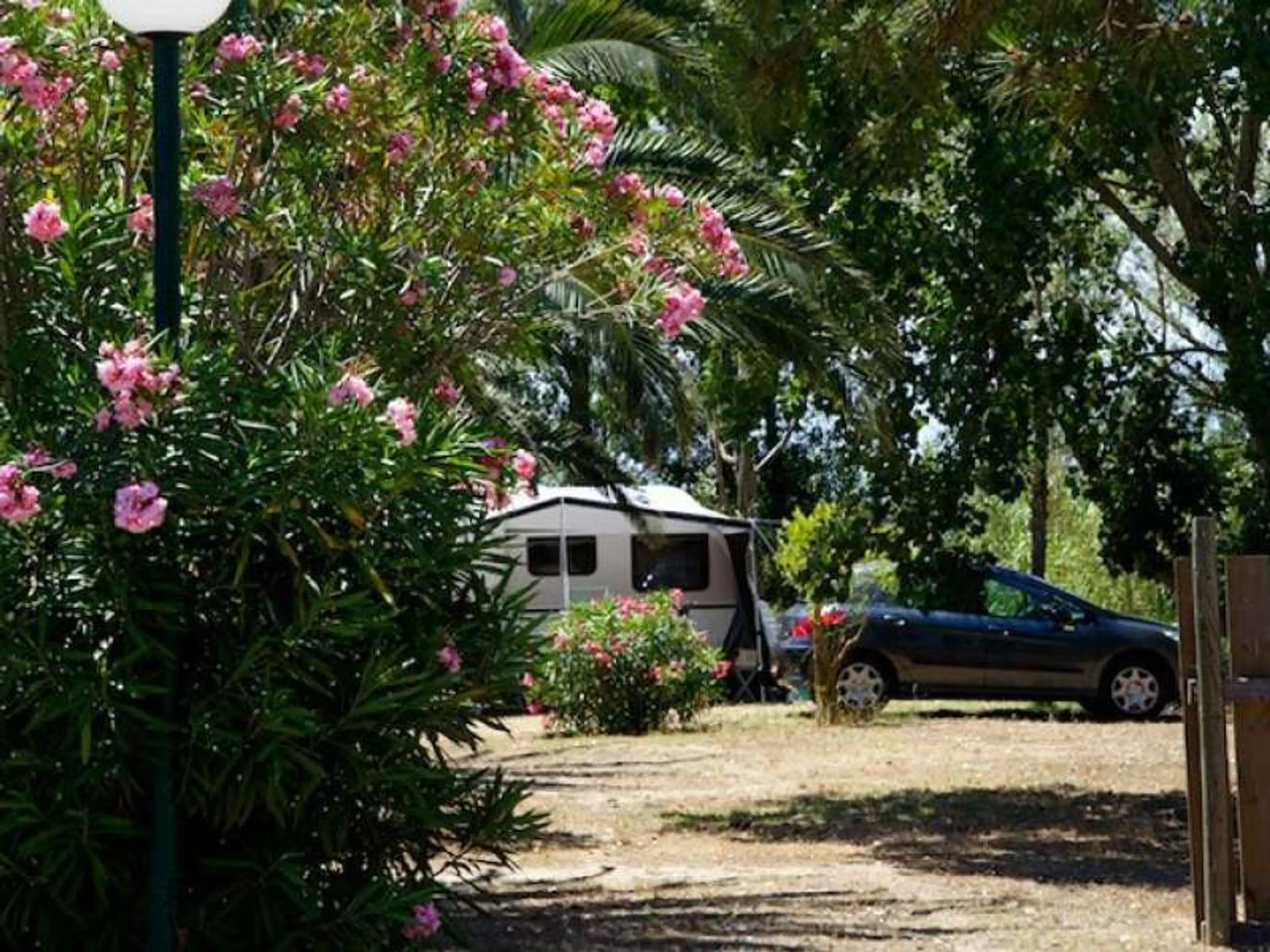 Camping Mar Estang carousel-image-7