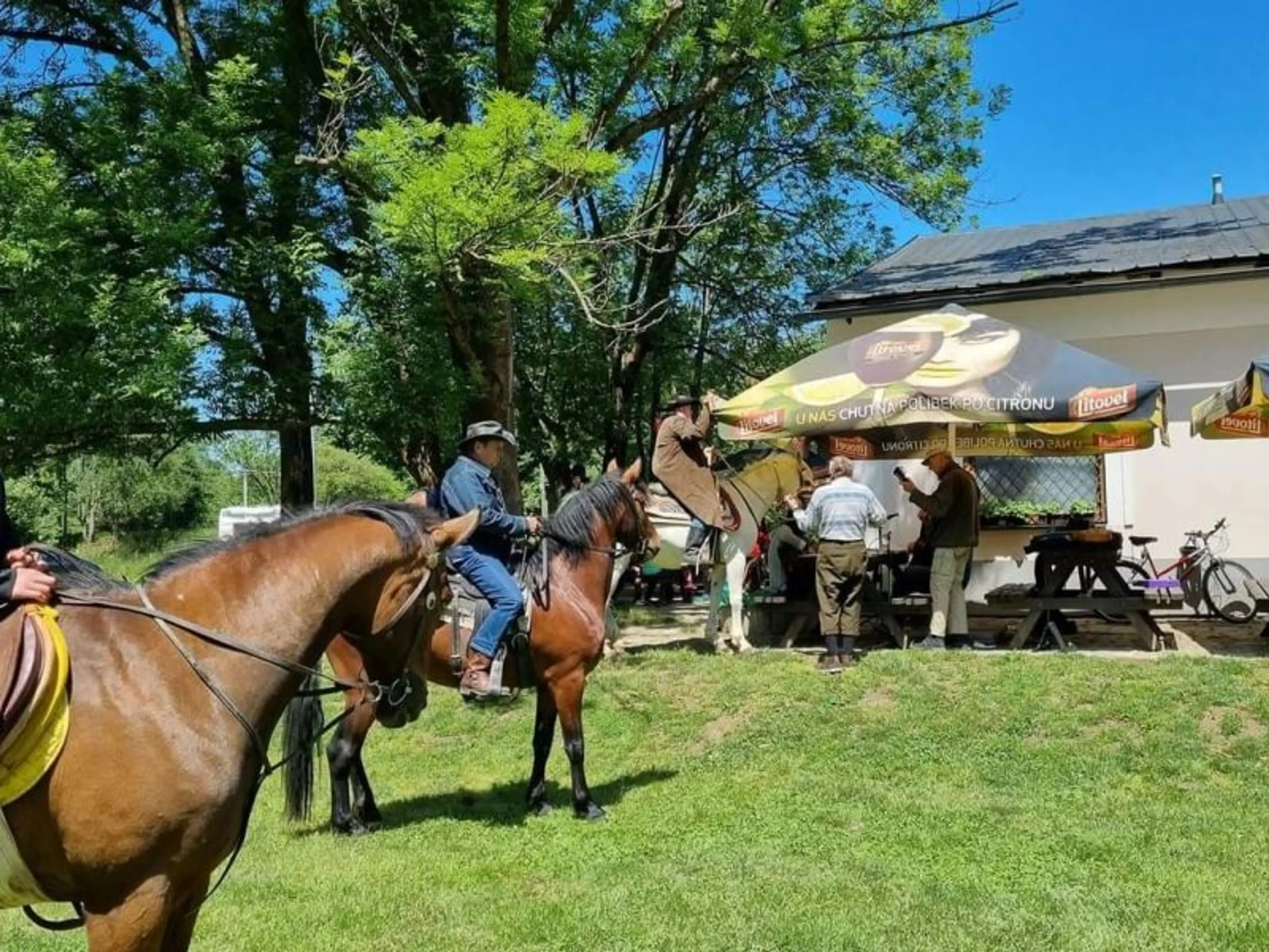 Kemp Stodola carousel-image-5