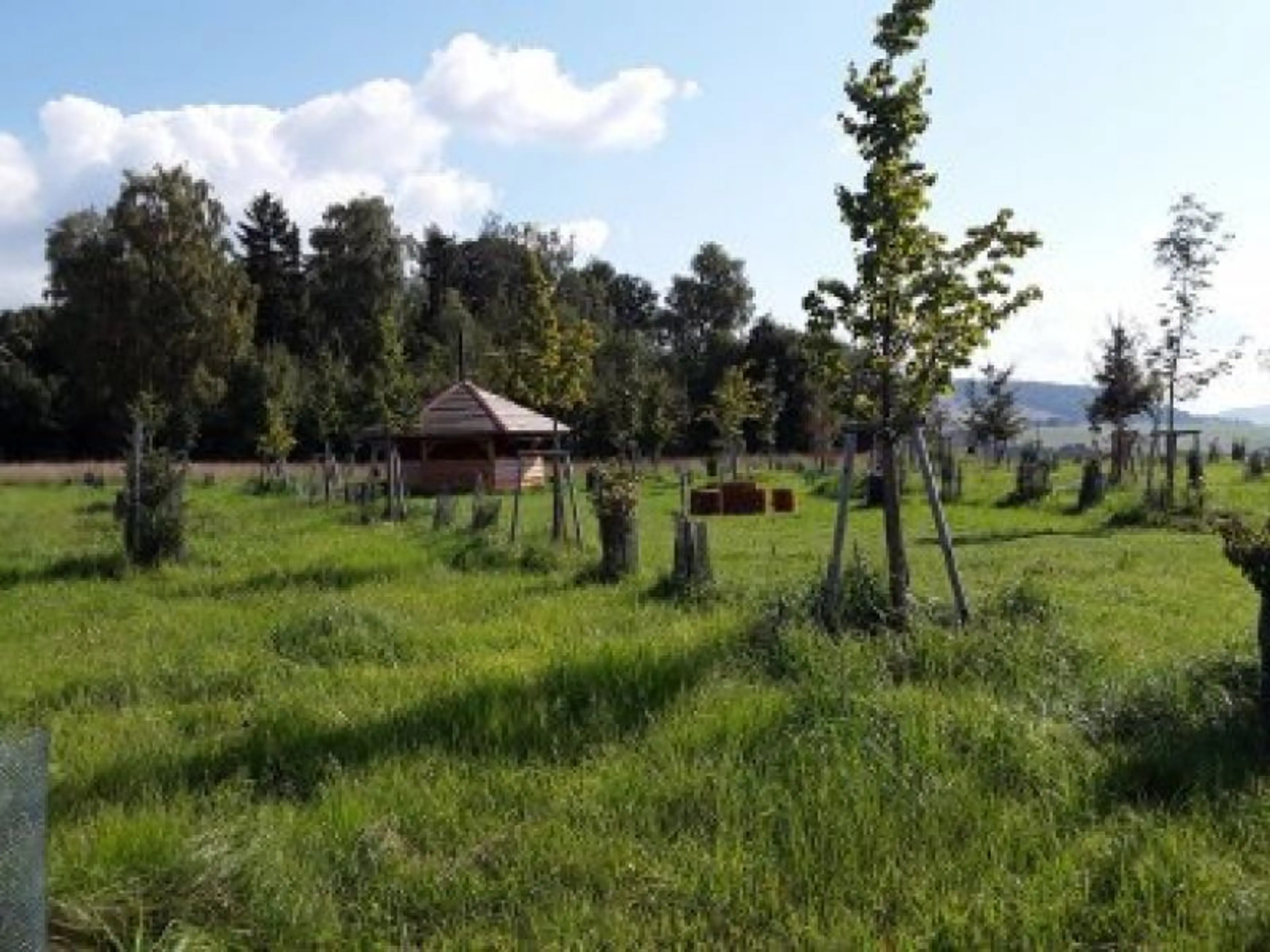 Tree houses Sněžník s wellness carousel-image-16