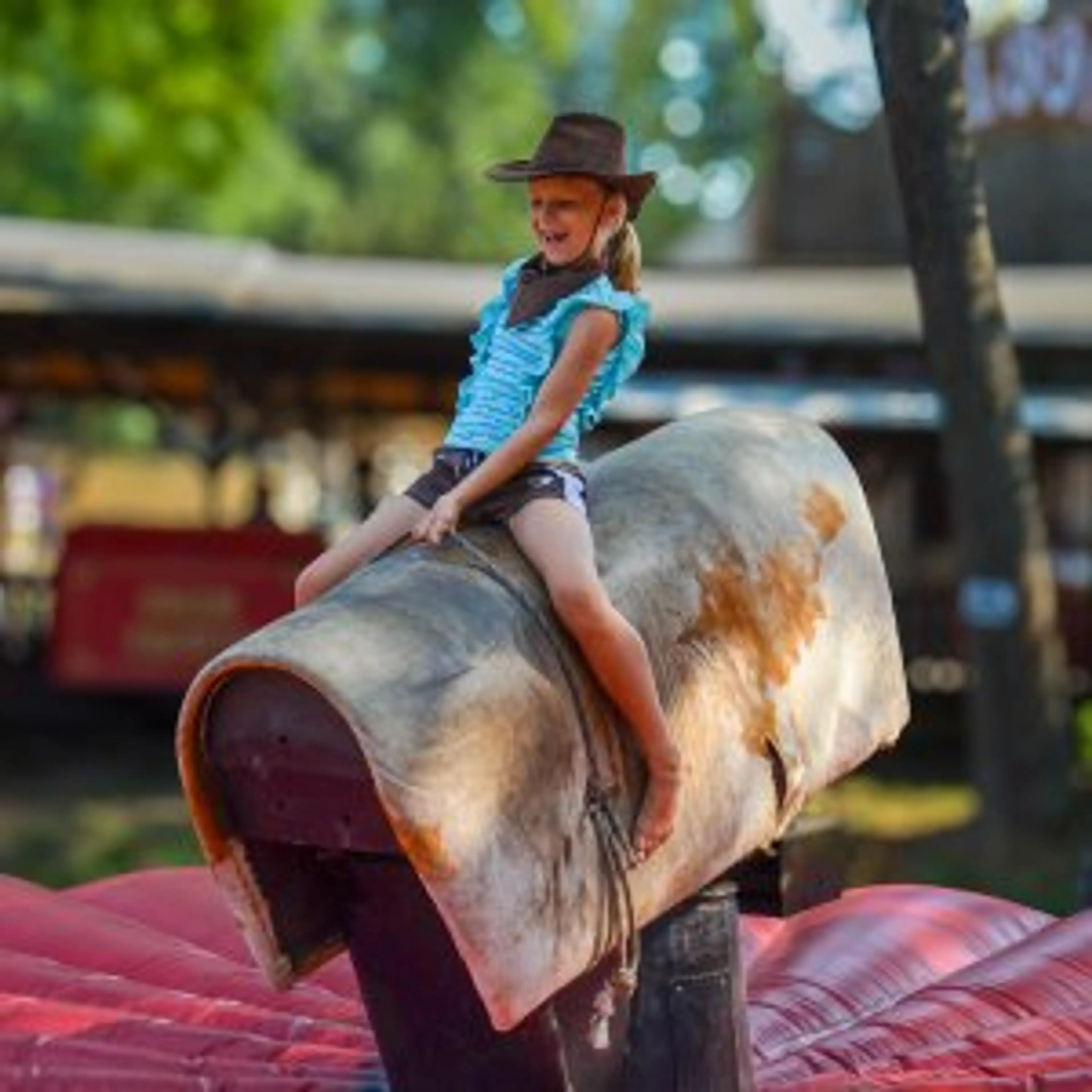 Šikland carousel-image-14