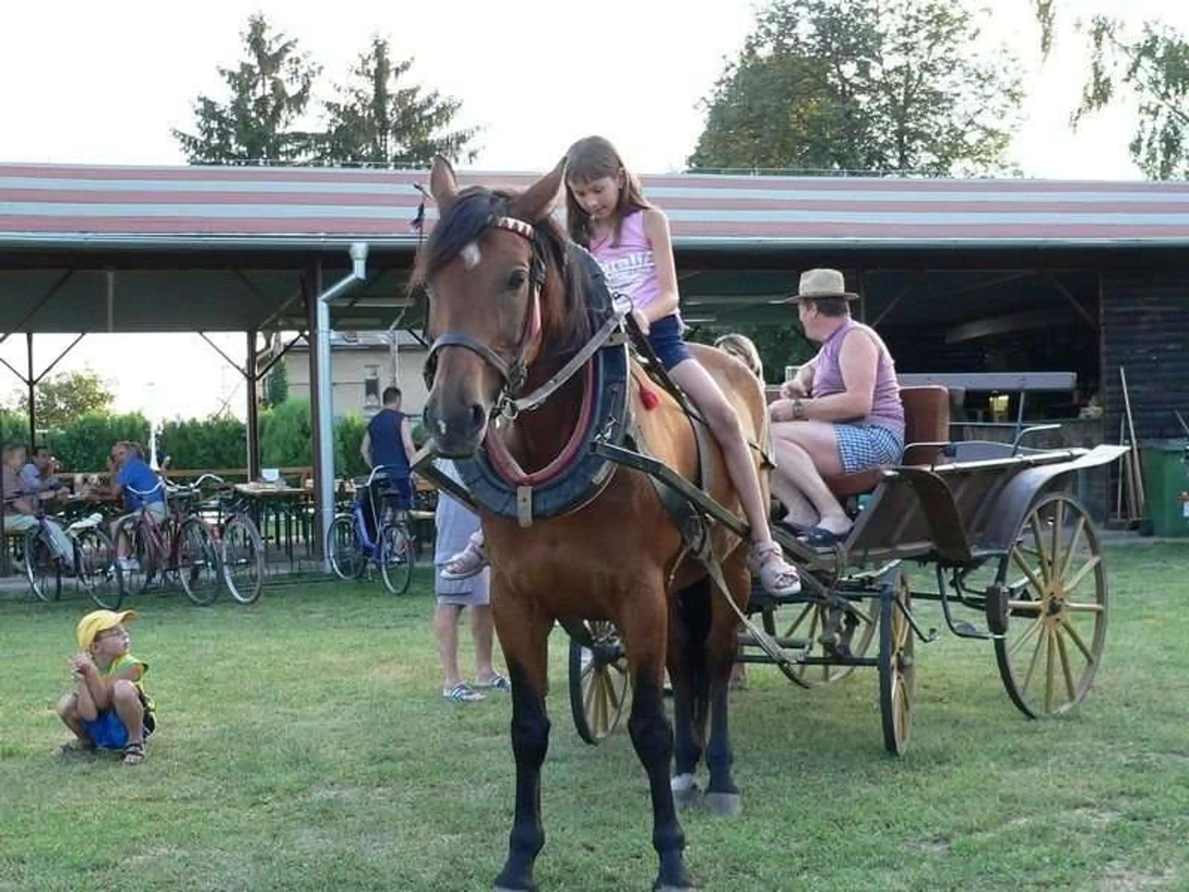 Camp Josef carousel-image-4