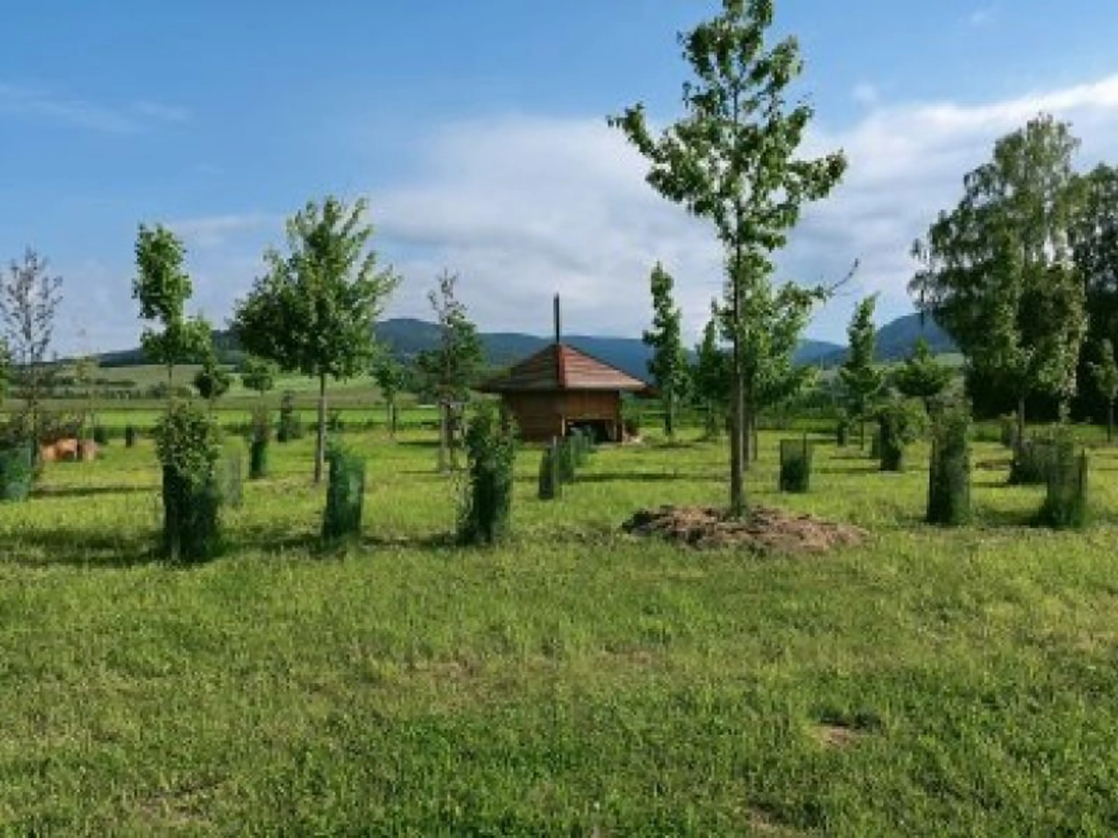 Tree houses Sněžník s wellness carousel-image-17