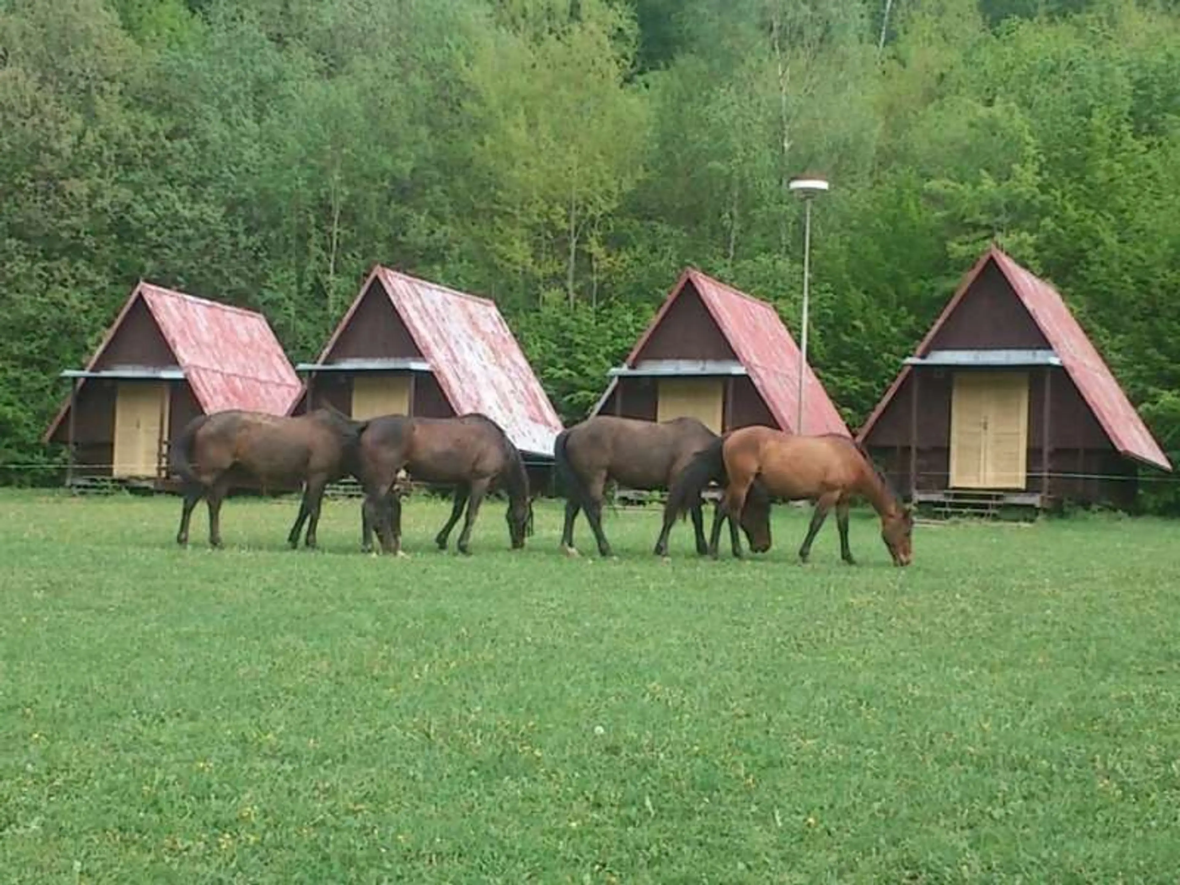 Rekreační středisko DOPRAVÁK carousel-image-4