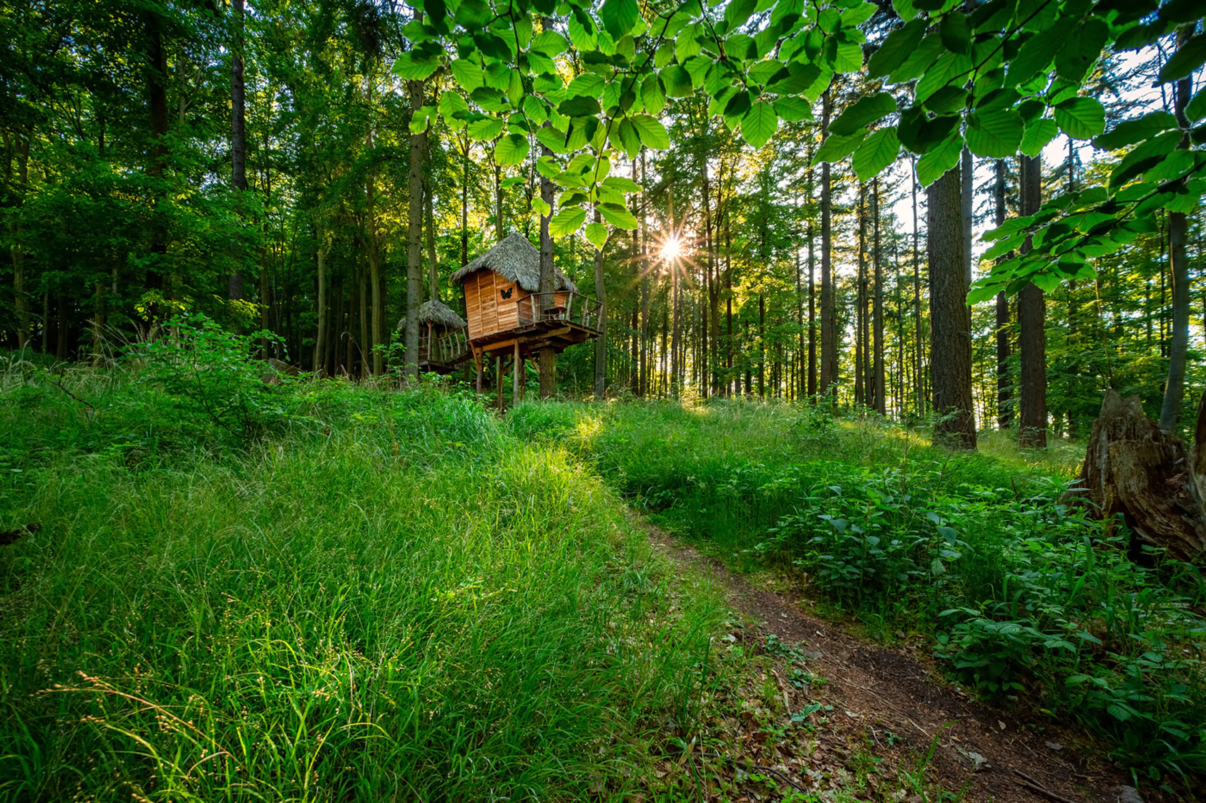 Tree House carousel-image-2