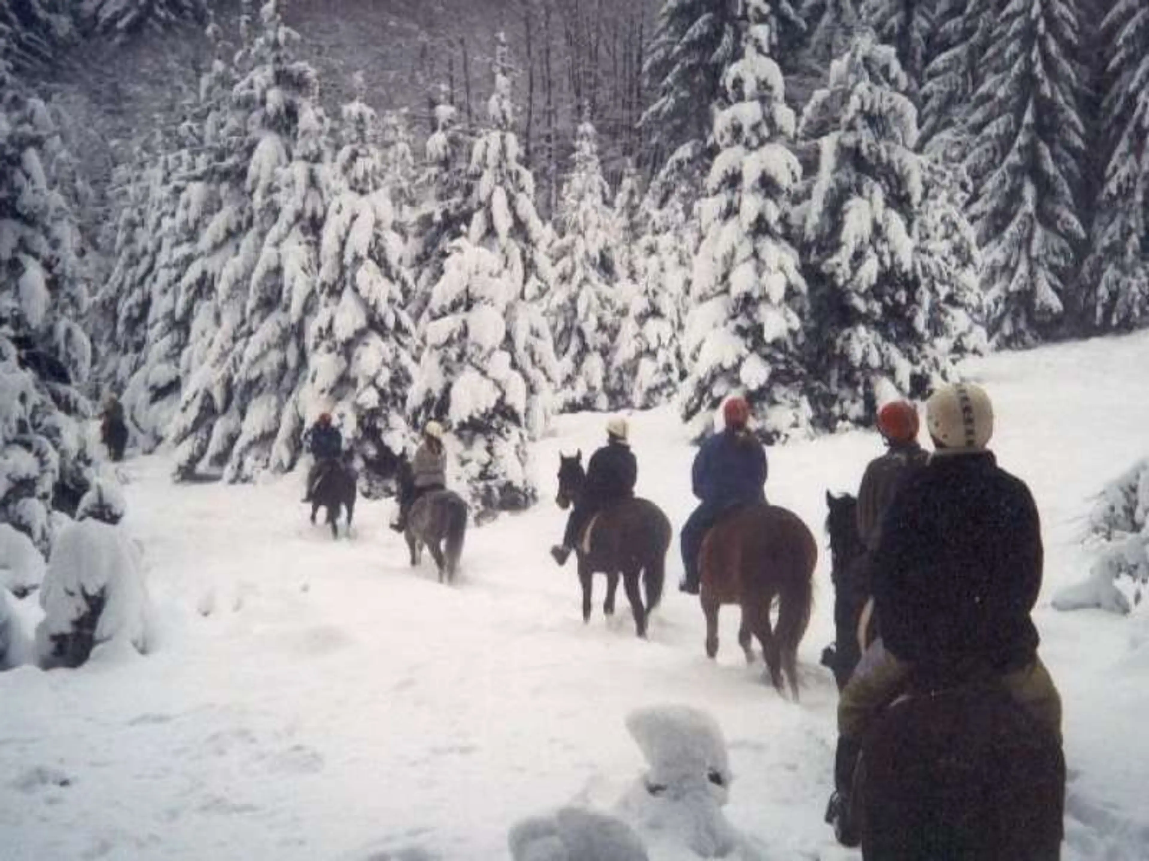 Hipocentrum Koryčany carousel-image-13