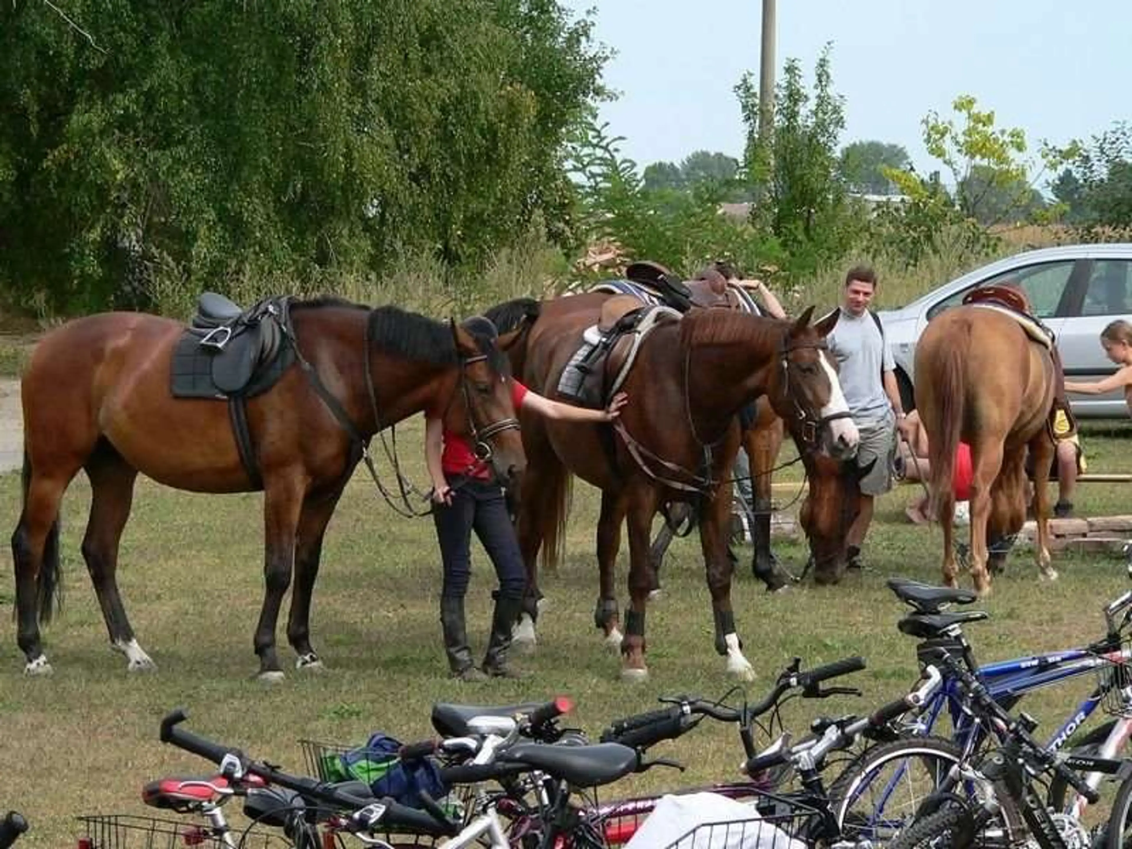 Camp Josef carousel-image-9