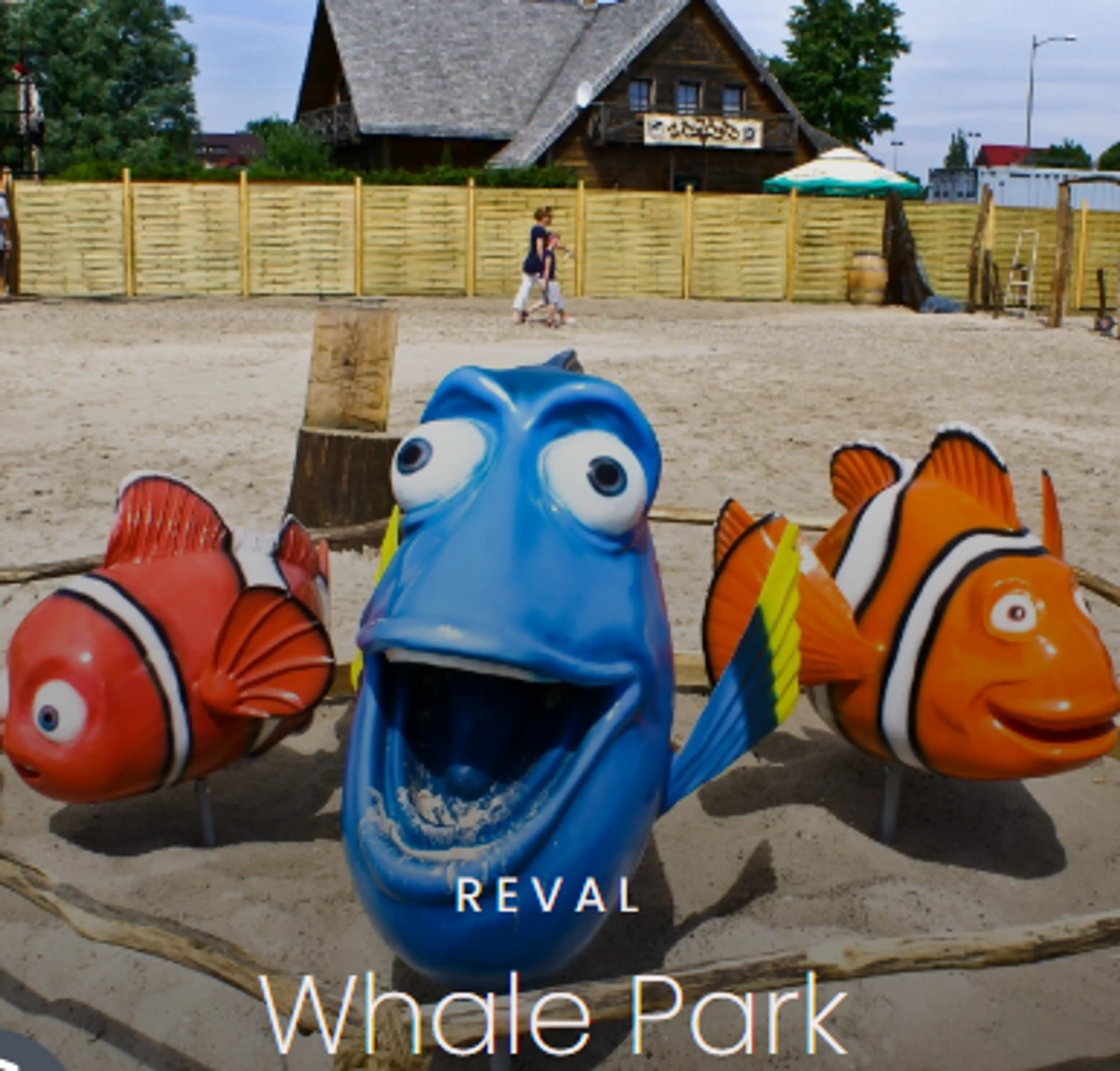 Camping 7 Żab carousel-image-13