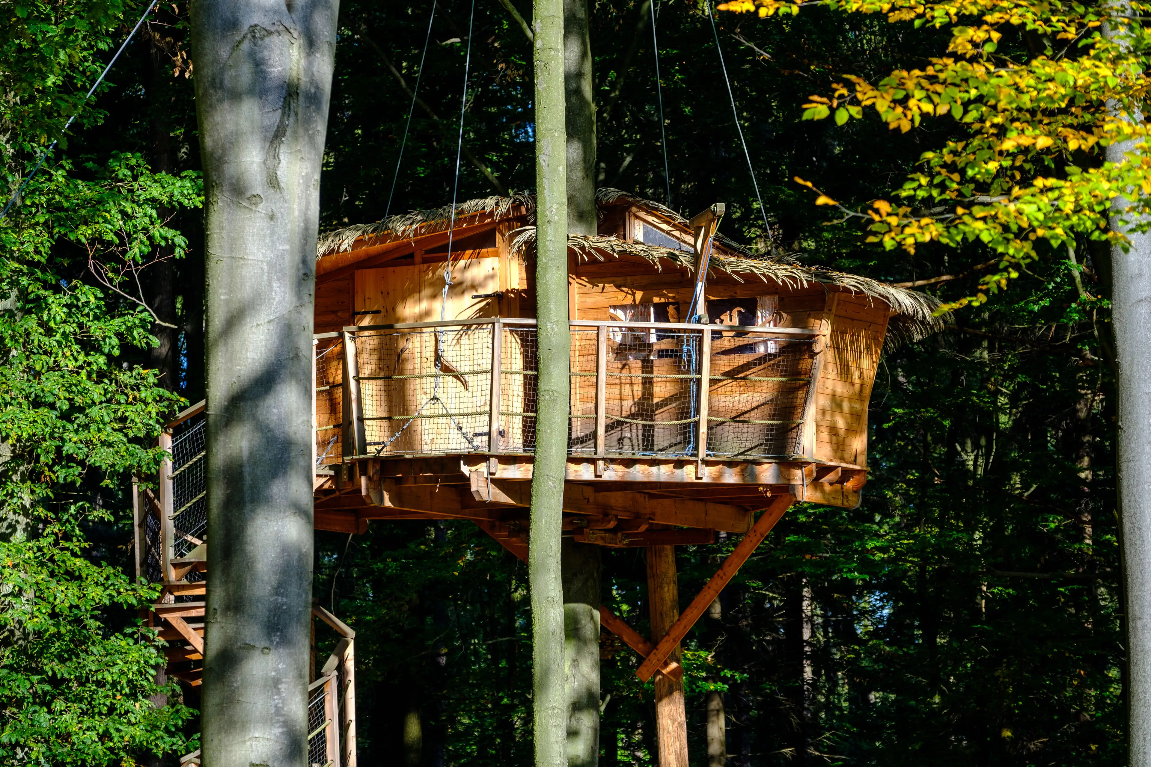 Tree House carousel-image-10