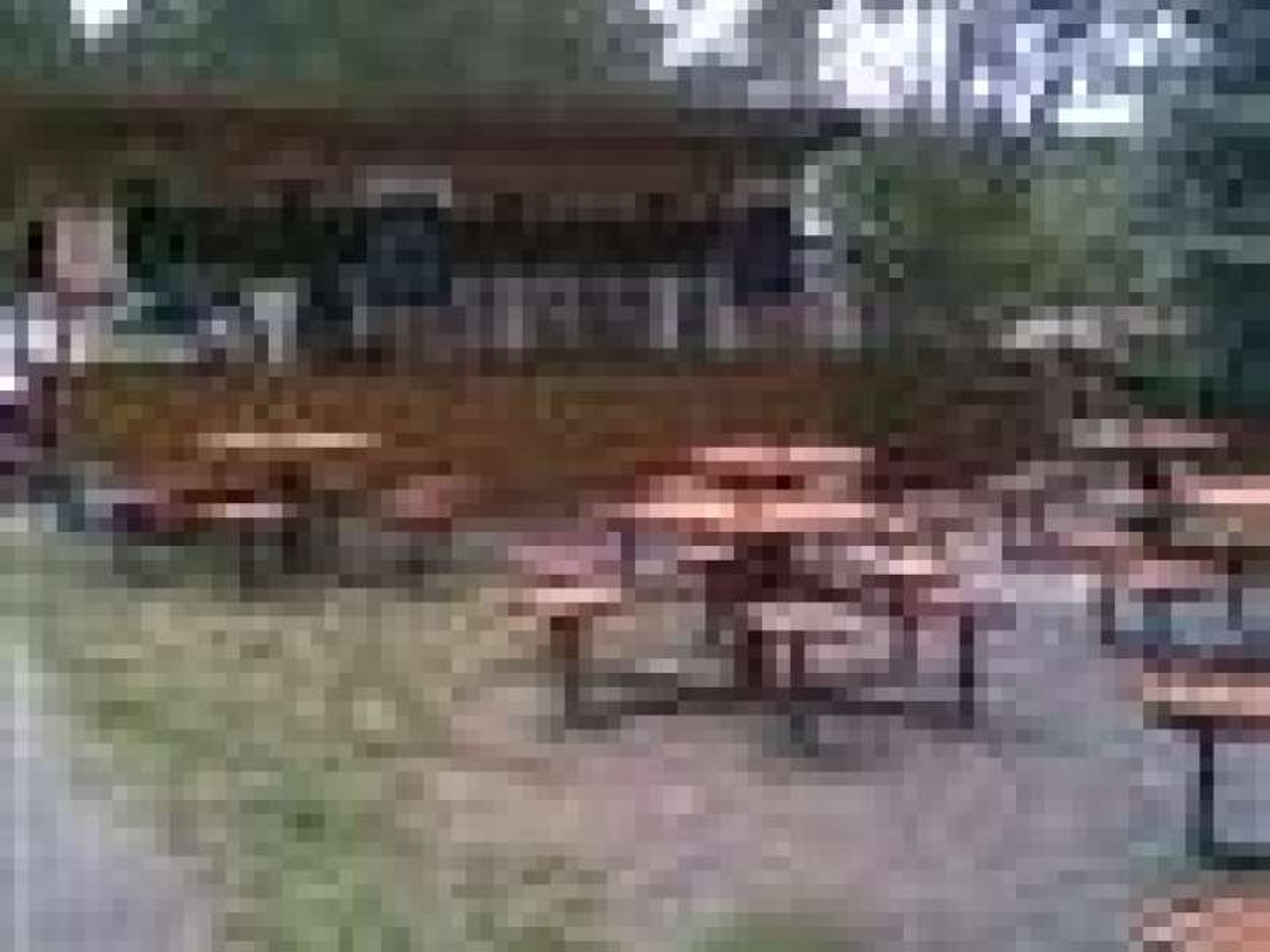 carousel-image-6