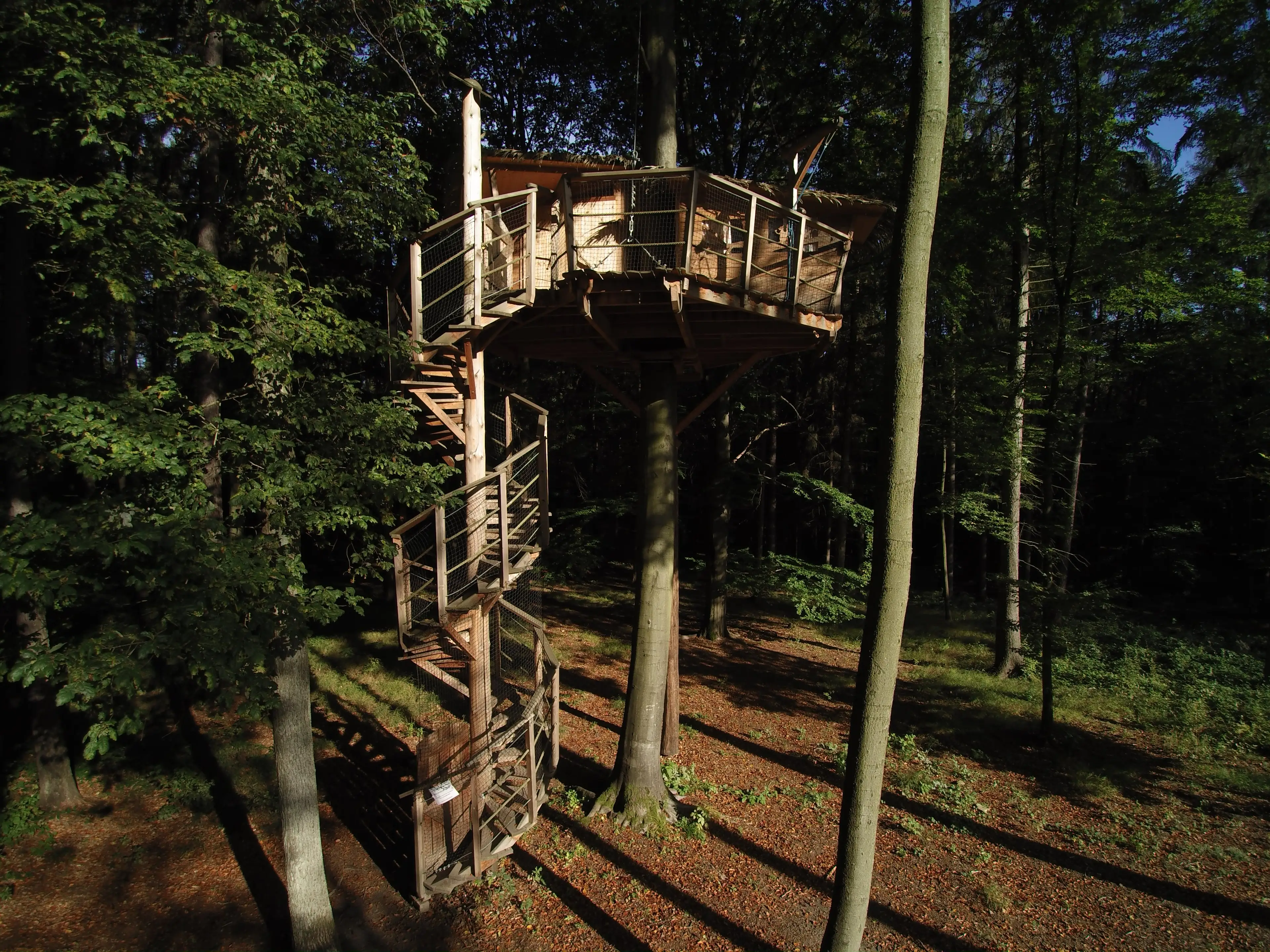 Tree House carousel-image-1