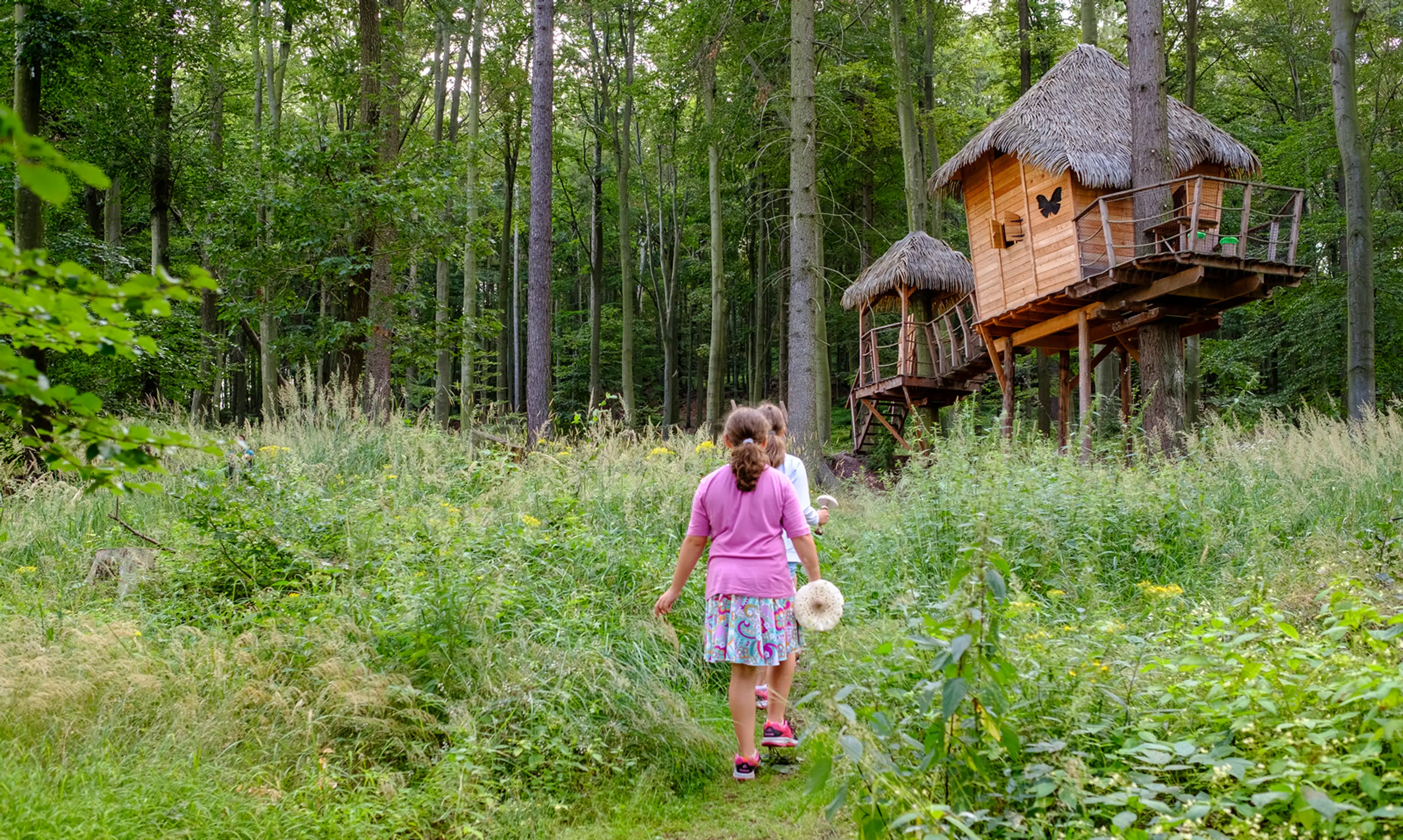 Tree House carousel-image-4