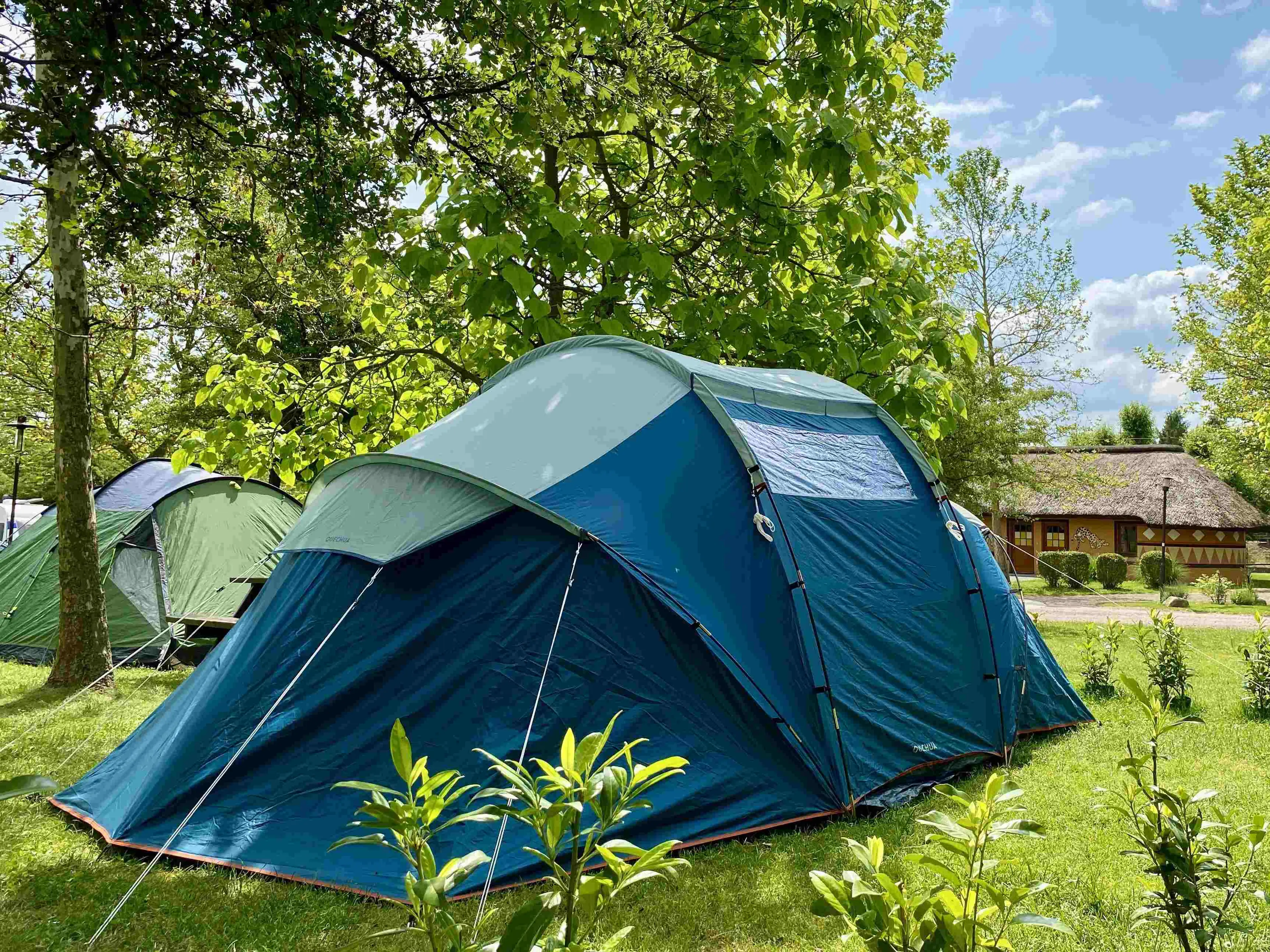 SAFARI PARK carousel-image-7